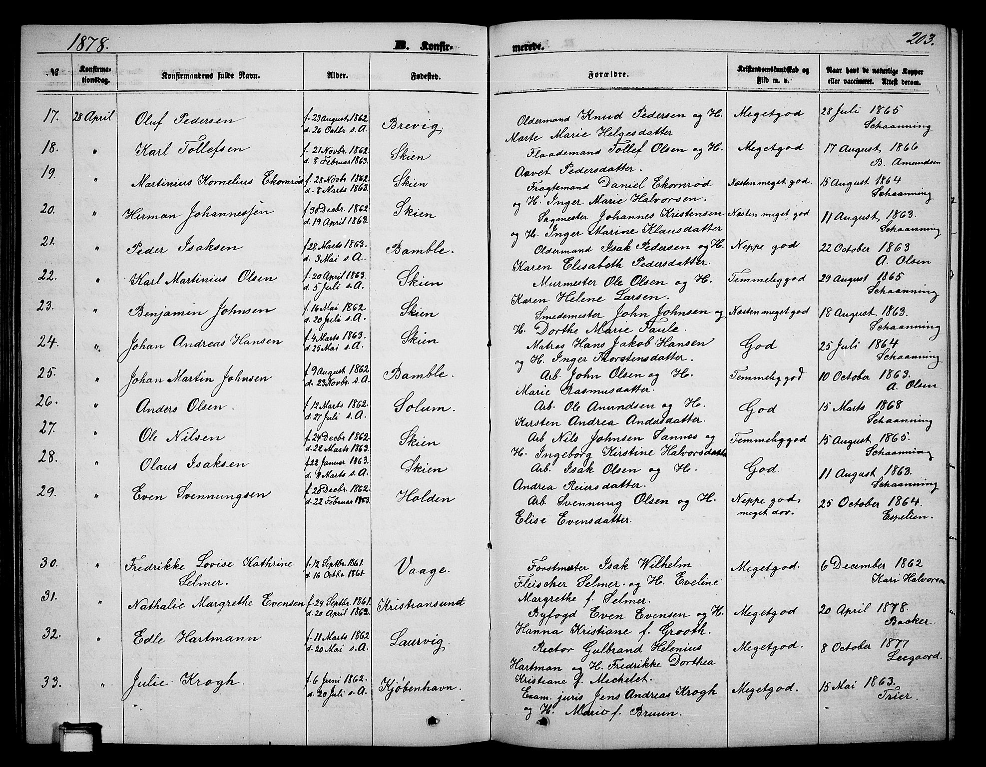 Skien kirkebøker, SAKO/A-302/G/Ga/L0005: Parish register (copy) no. 5, 1868-1880, p. 203