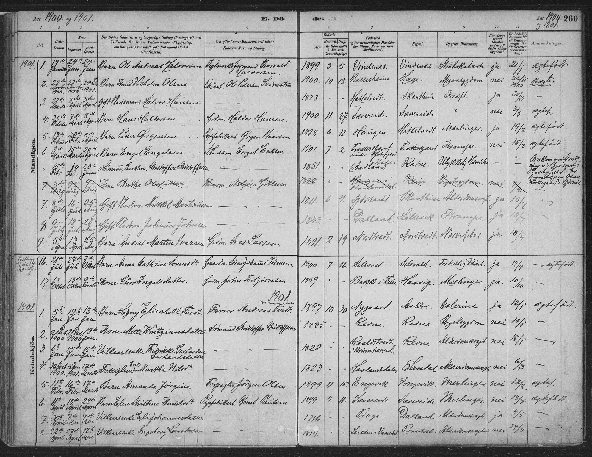 Fusa sokneprestembete, SAB/A-75401/H/Haa: Parish register (official) no. D 1, 1880-1938, p. 260