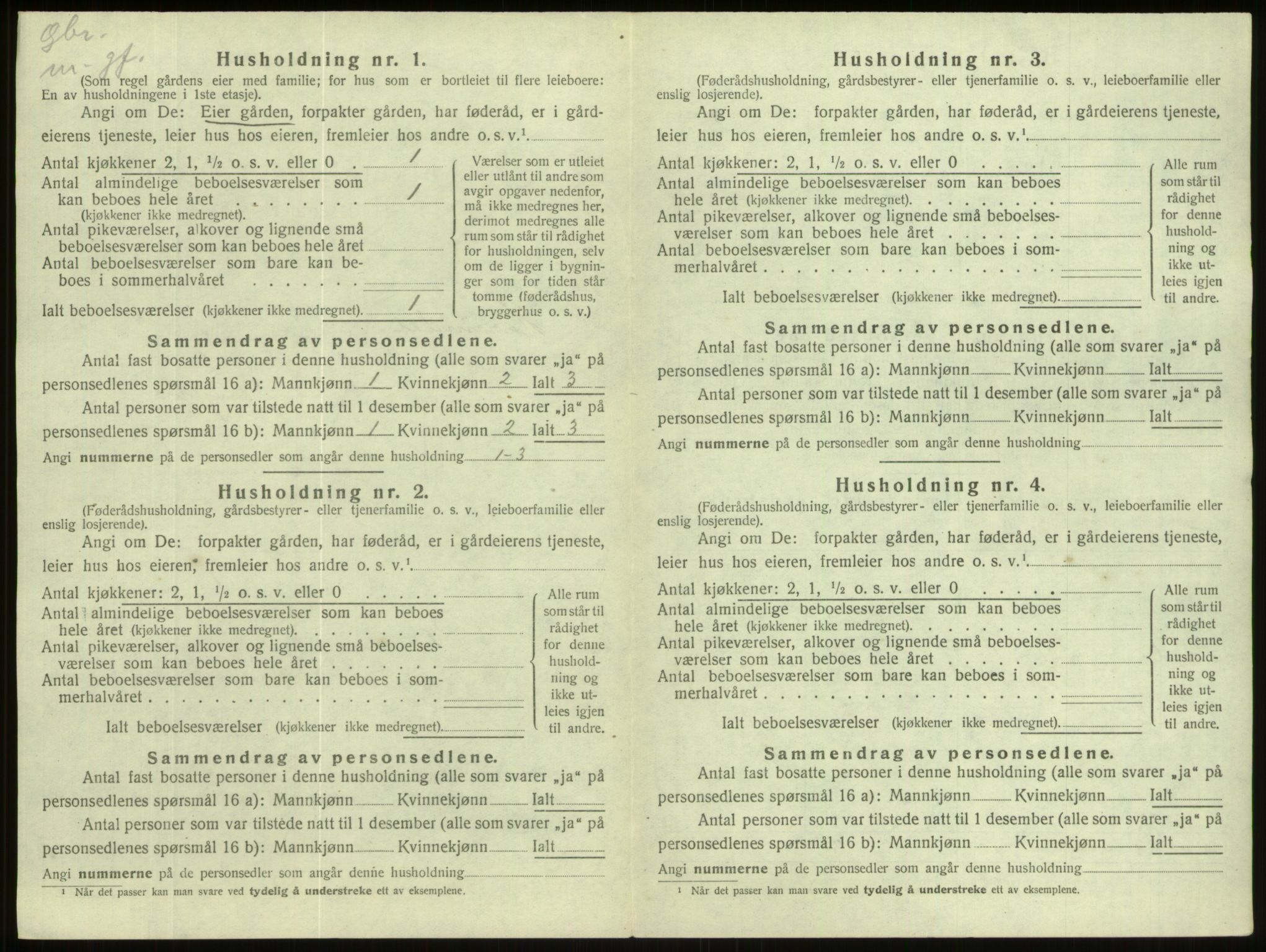 SAB, 1920 census for Hornindal, 1920, p. 314