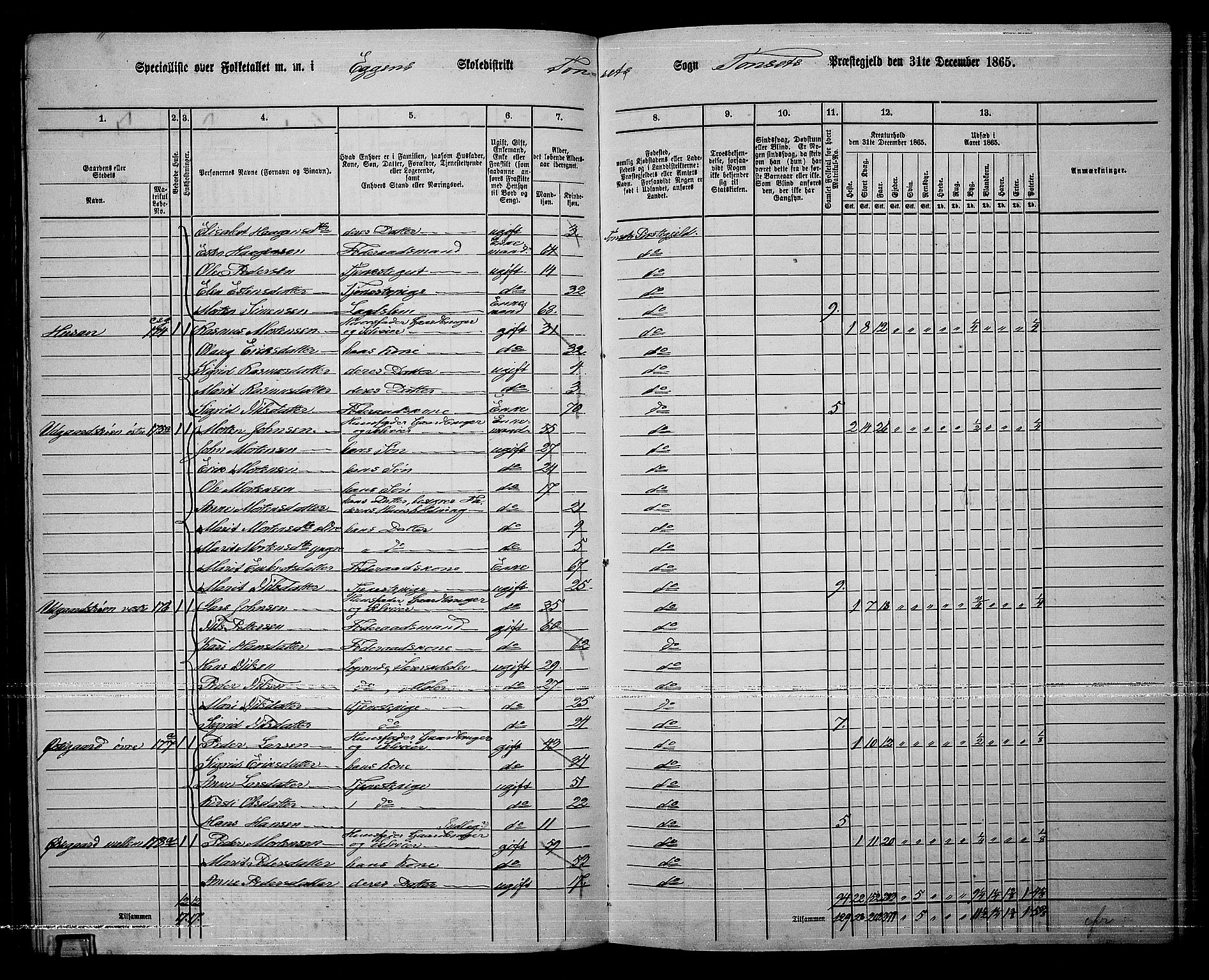 RA, 1865 census for Tynset, 1865, p. 84