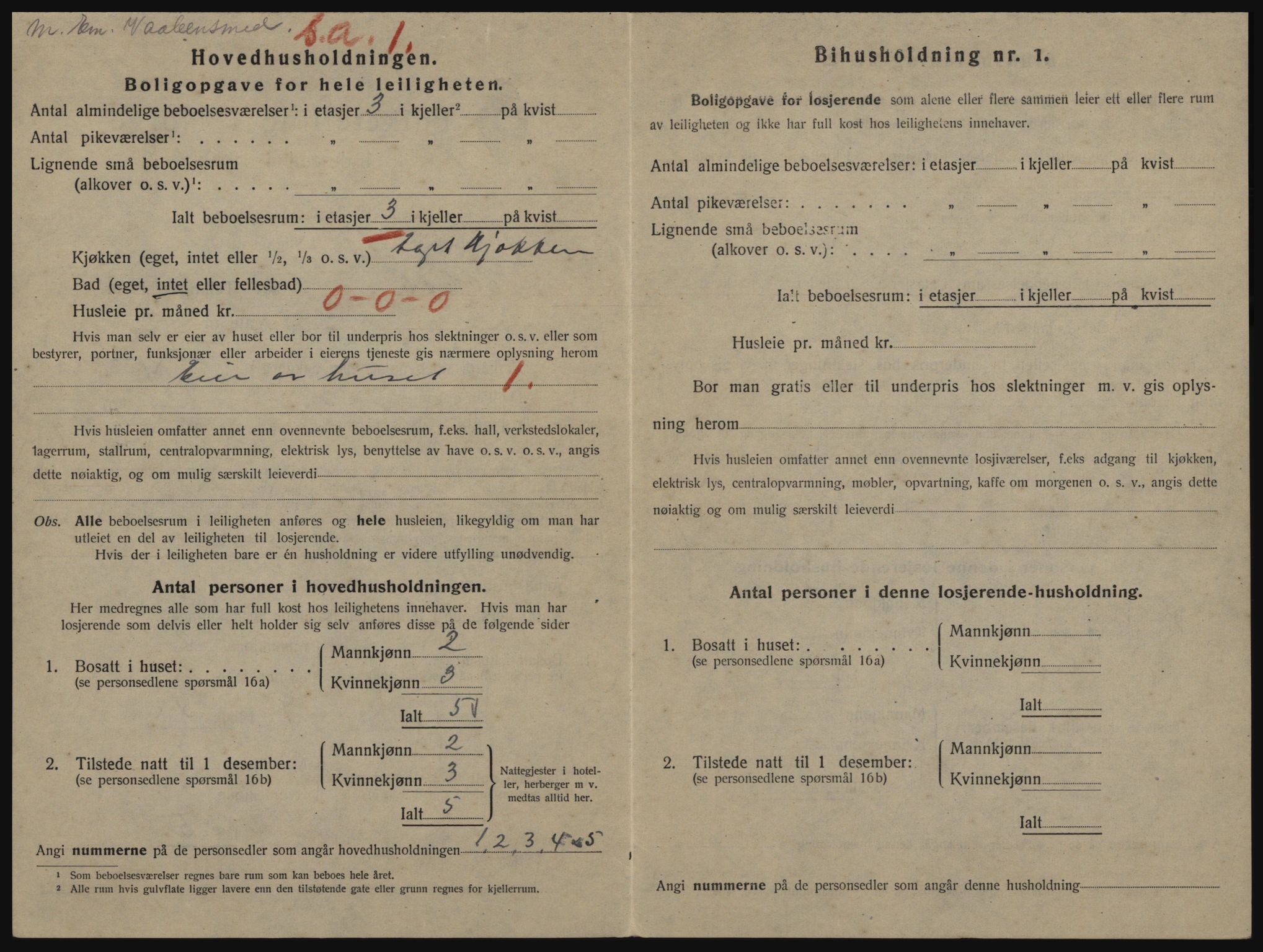 SAO, 1920 census for Drøbak, 1920, p. 1196