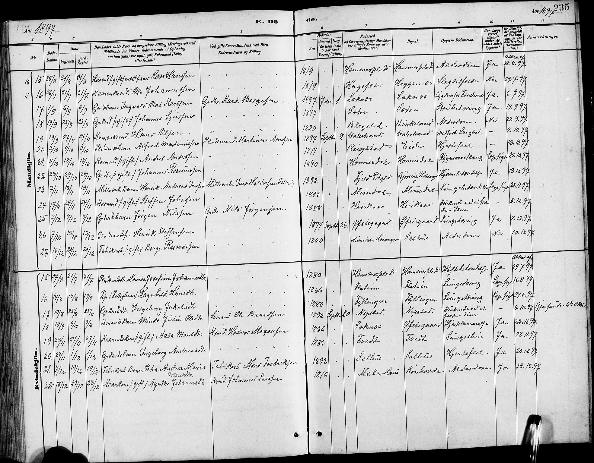 Hamre sokneprestembete, AV/SAB-A-75501/H/Ha/Hab: Parish register (copy) no. B 3, 1881-1898, p. 235