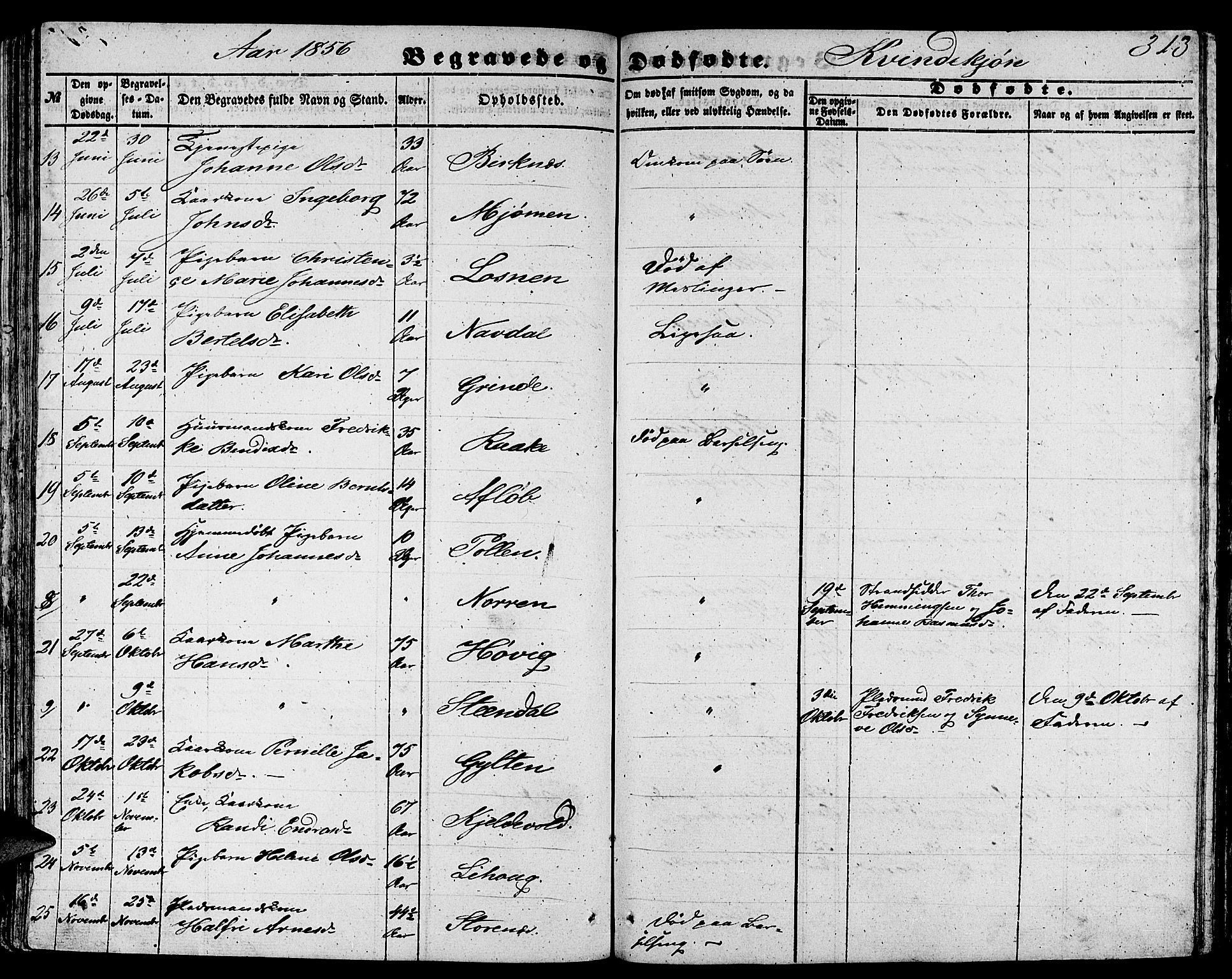 Gulen sokneprestembete, SAB/A-80201/H/Hab/Habb/L0001: Parish register (copy) no. B 1, 1854-1866, p. 313