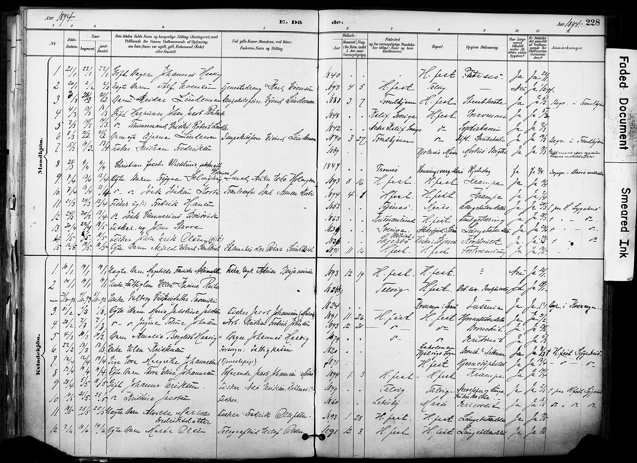 Hammerfest sokneprestkontor, SATØ/S-1347/H/Ha/L0009.kirke: Parish register (official) no. 9, 1889-1897, p. 228