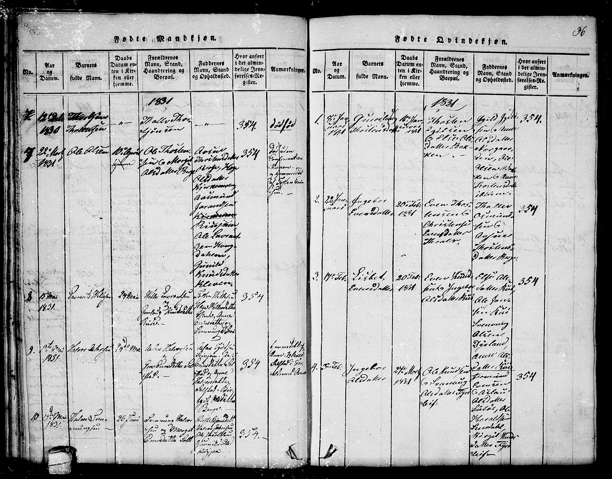 Seljord kirkebøker, AV/SAKO-A-20/F/Fc/L0001: Parish register (official) no. III 1, 1815-1831, p. 36