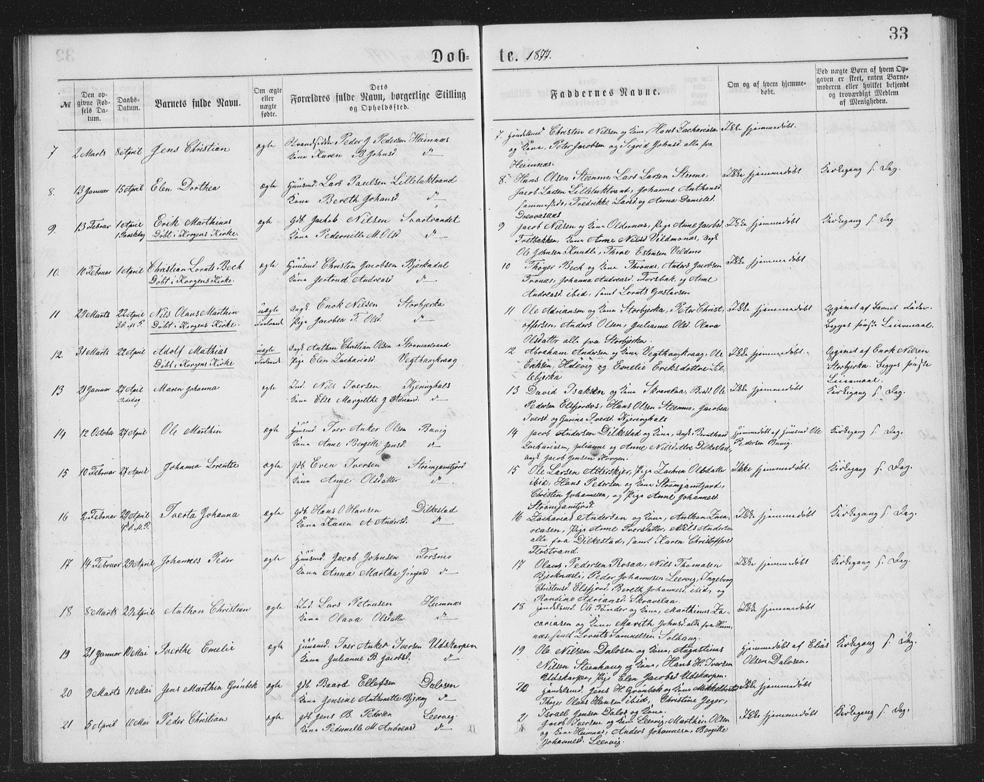 Ministerialprotokoller, klokkerbøker og fødselsregistre - Nordland, AV/SAT-A-1459/825/L0369: Parish register (copy) no. 825C06, 1873-1885, p. 33