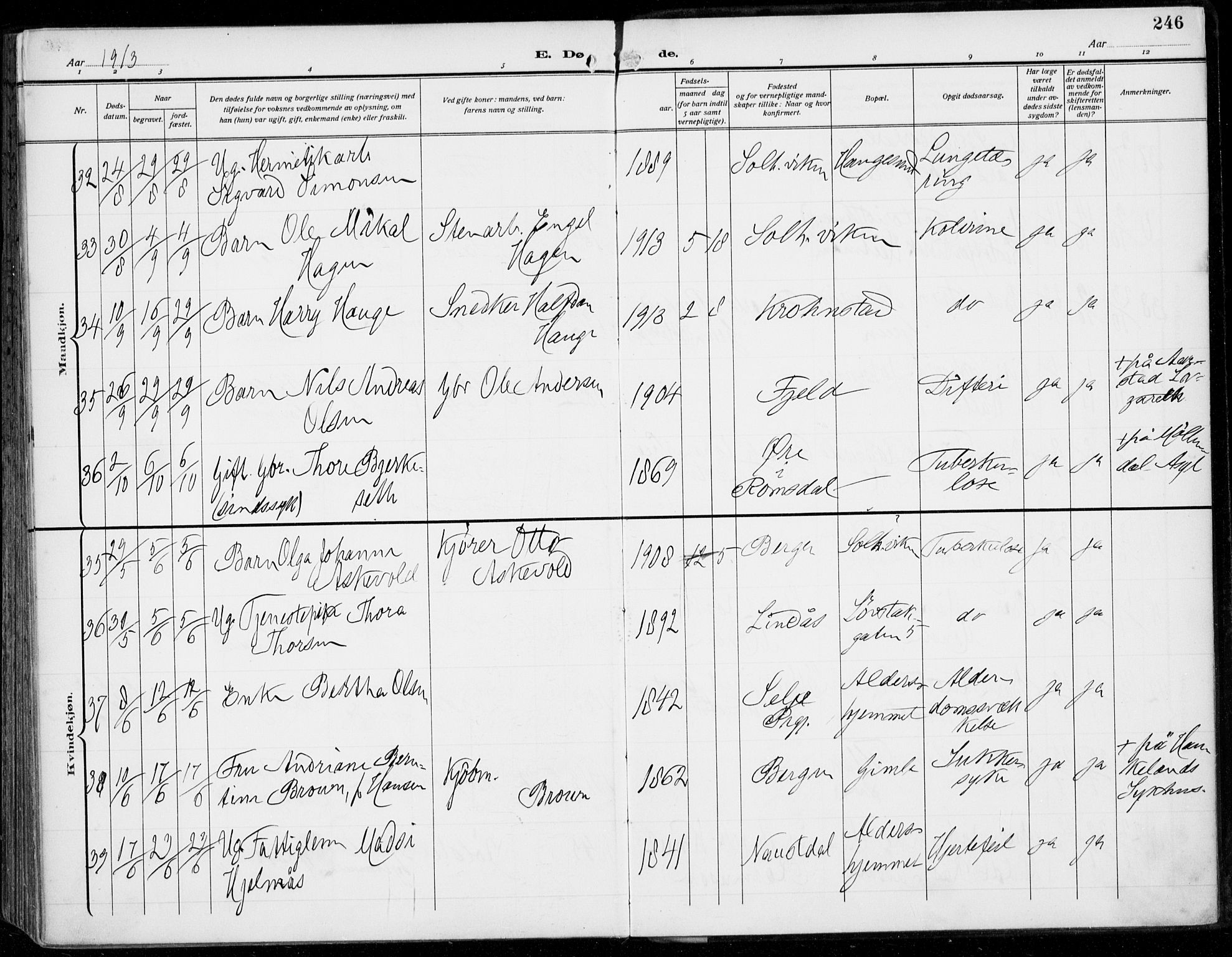 Årstad Sokneprestembete, AV/SAB-A-79301/H/Haa/L0009: Parish register (official) no. C 1, 1902-1918, p. 246