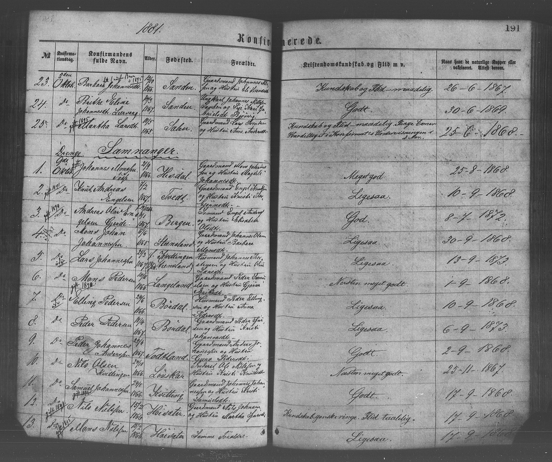 Os sokneprestembete, AV/SAB-A-99929: Parish register (official) no. A 18, 1874-1884, p. 191