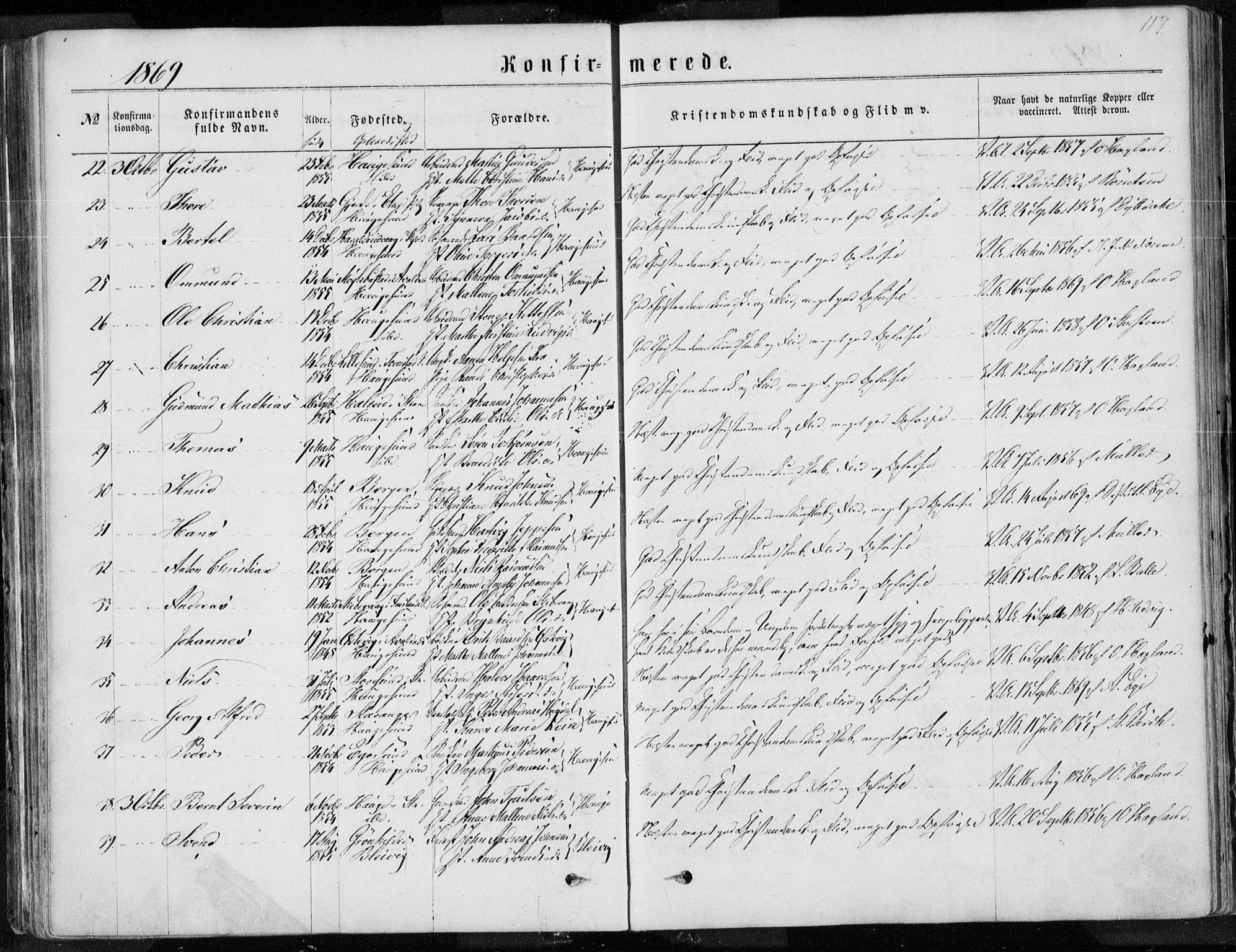 Torvastad sokneprestkontor, AV/SAST-A -101857/H/Ha/Haa/L0012: Parish register (official) no. A 12.1, 1867-1877, p. 117