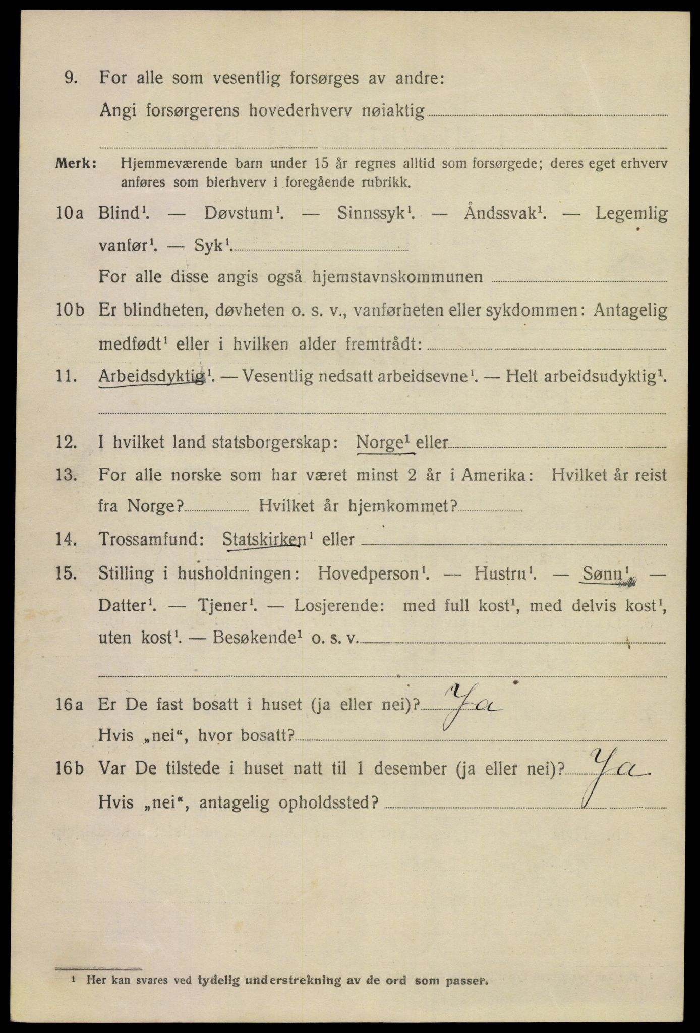 SAKO, 1920 census for Porsgrunn, 1920, p. 17354