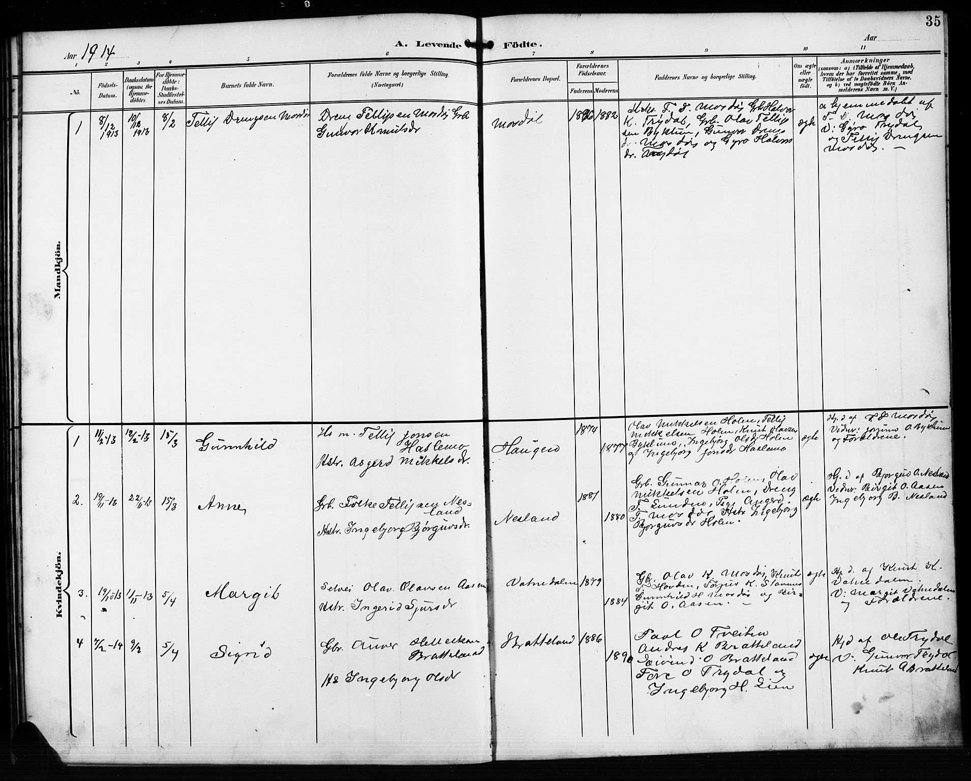 Valle sokneprestkontor, AV/SAK-1111-0044/F/Fb/Fba/L0003: Parish register (copy) no. B 3, 1895-1916, p. 35