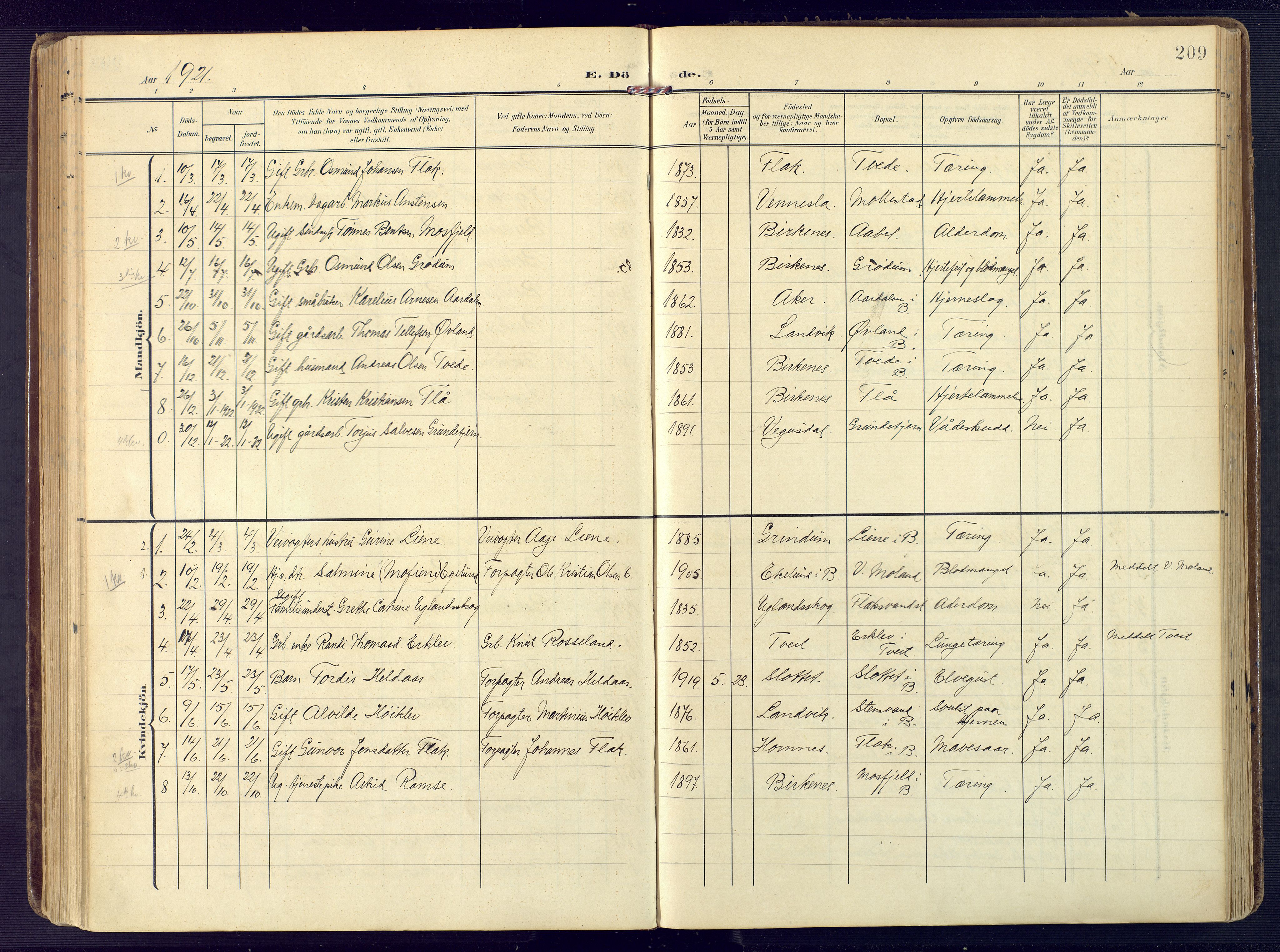 Birkenes sokneprestkontor, SAK/1111-0004/F/Fa/L0006: Parish register (official) no. A 6, 1908-1932, p. 209