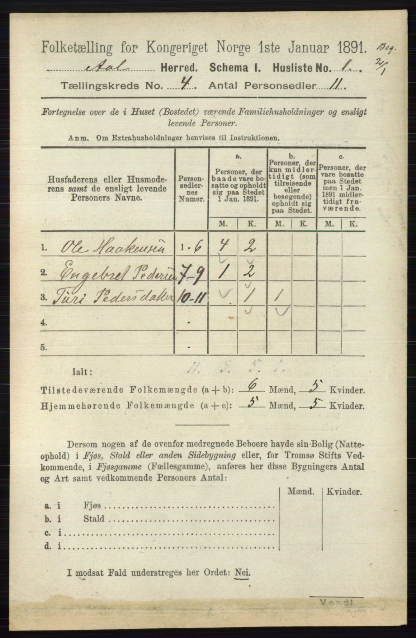 RA, 1891 census for 0619 Ål, 1891, p. 981