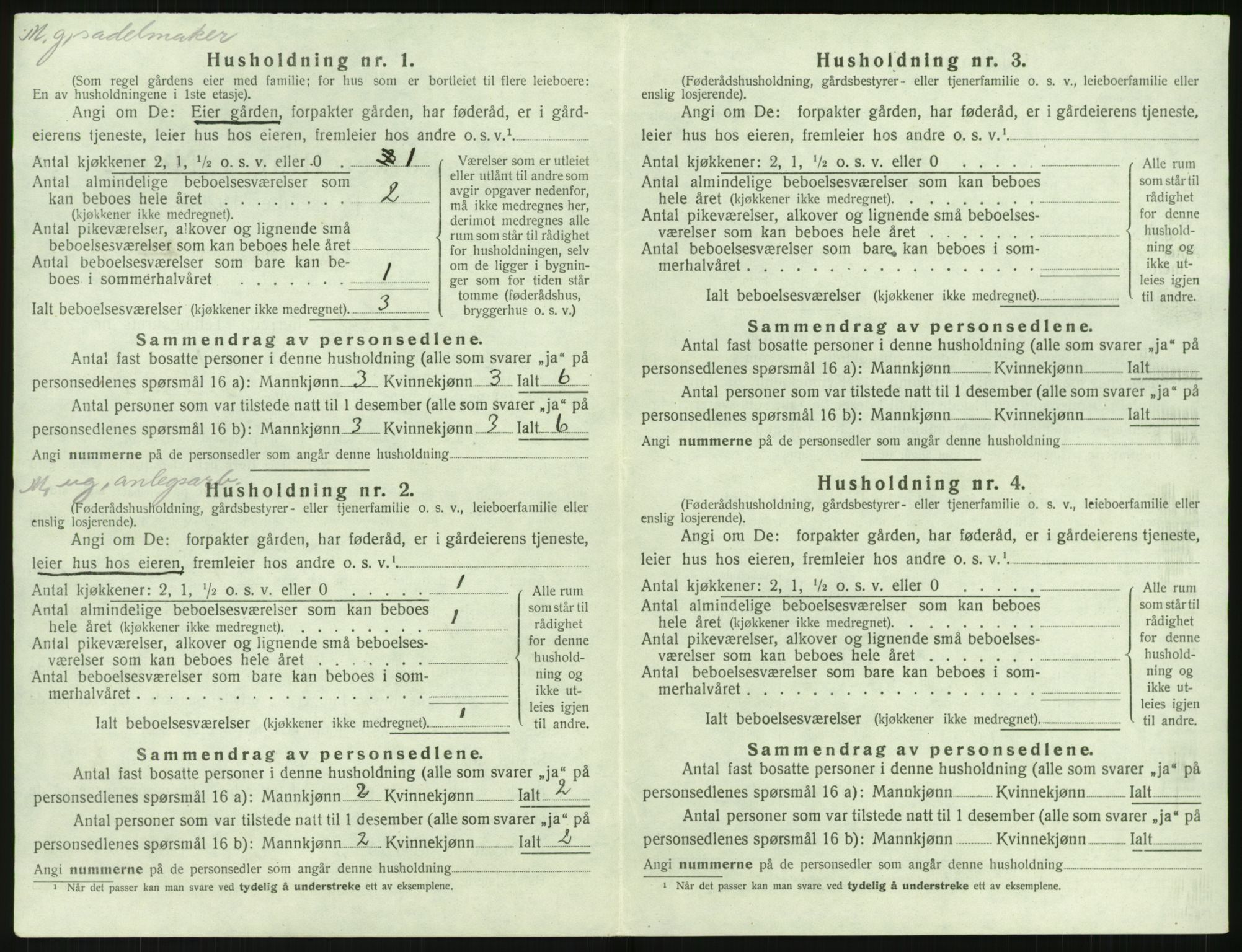 SAK, 1920 census for Holt, 1920, p. 483