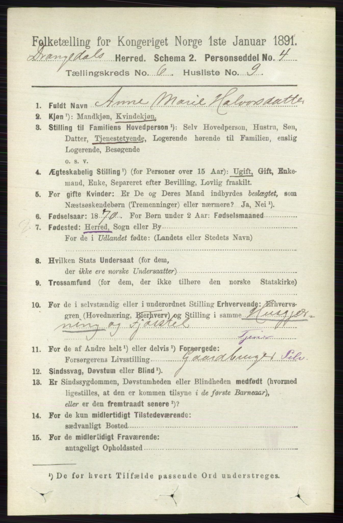 RA, 1891 census for 0817 Drangedal, 1891, p. 2054