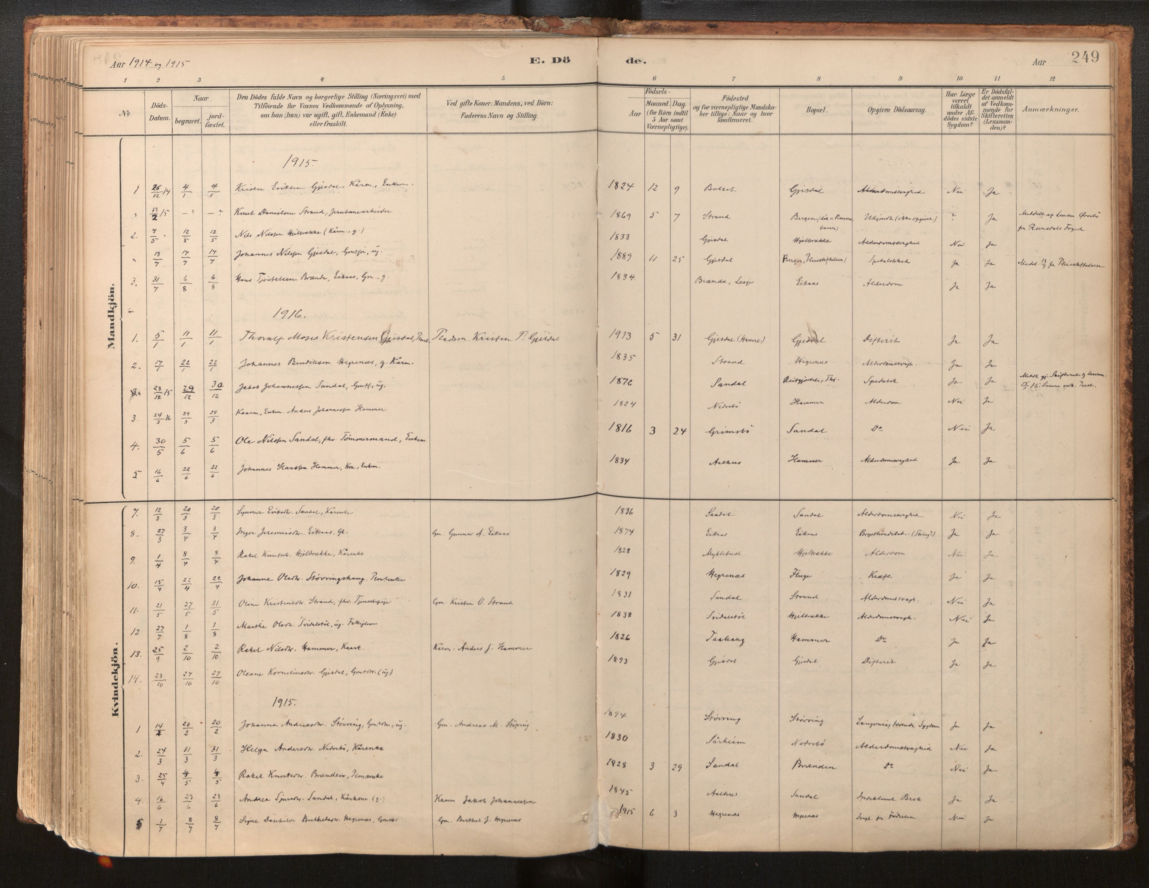 Jølster sokneprestembete, AV/SAB-A-80701/H/Haa/Haab/L0001: Parish register (official) no. B 1, 1882-1930, p. 249