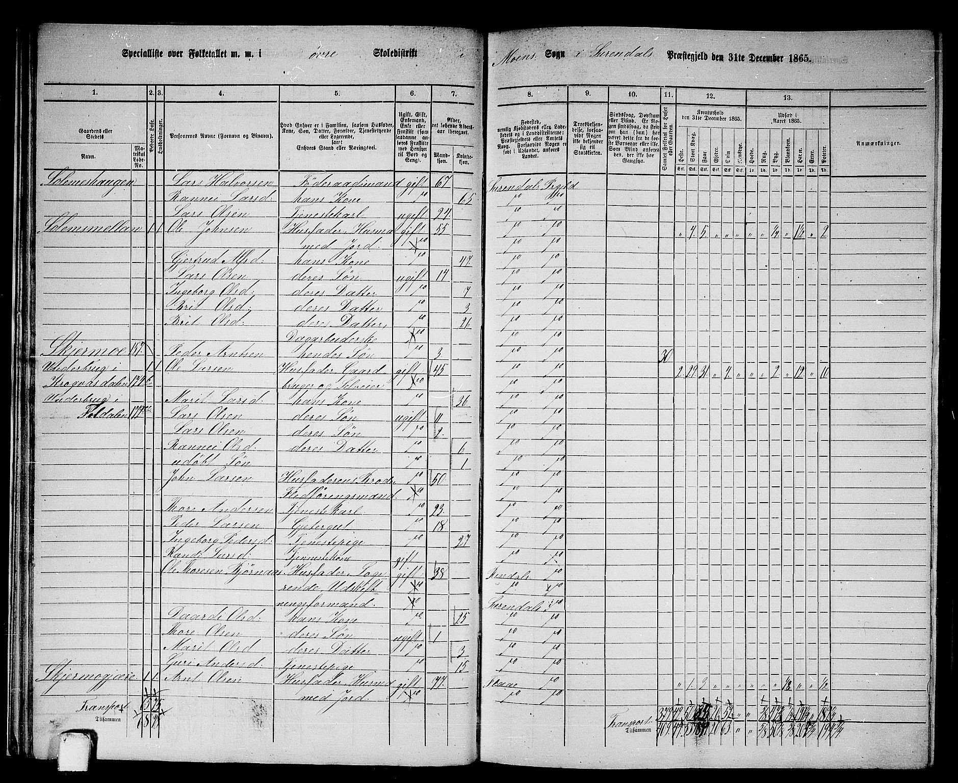 RA, 1865 census for Surnadal, 1865, p. 29