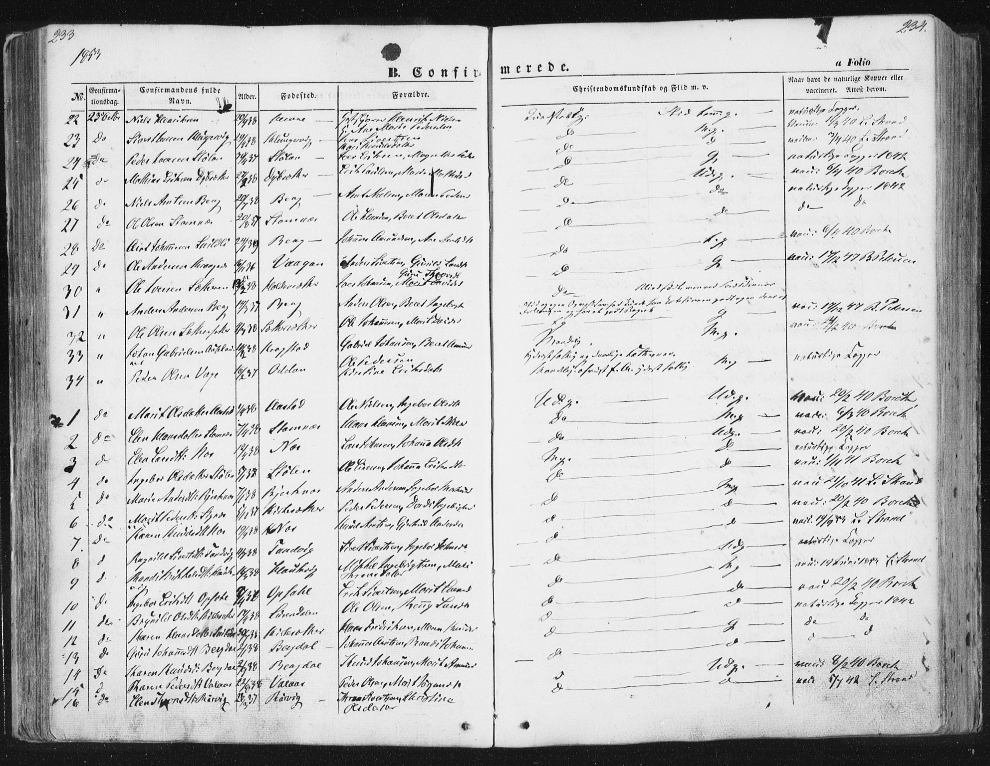 Ministerialprotokoller, klokkerbøker og fødselsregistre - Sør-Trøndelag, AV/SAT-A-1456/630/L0494: Parish register (official) no. 630A07, 1852-1868, p. 233-234