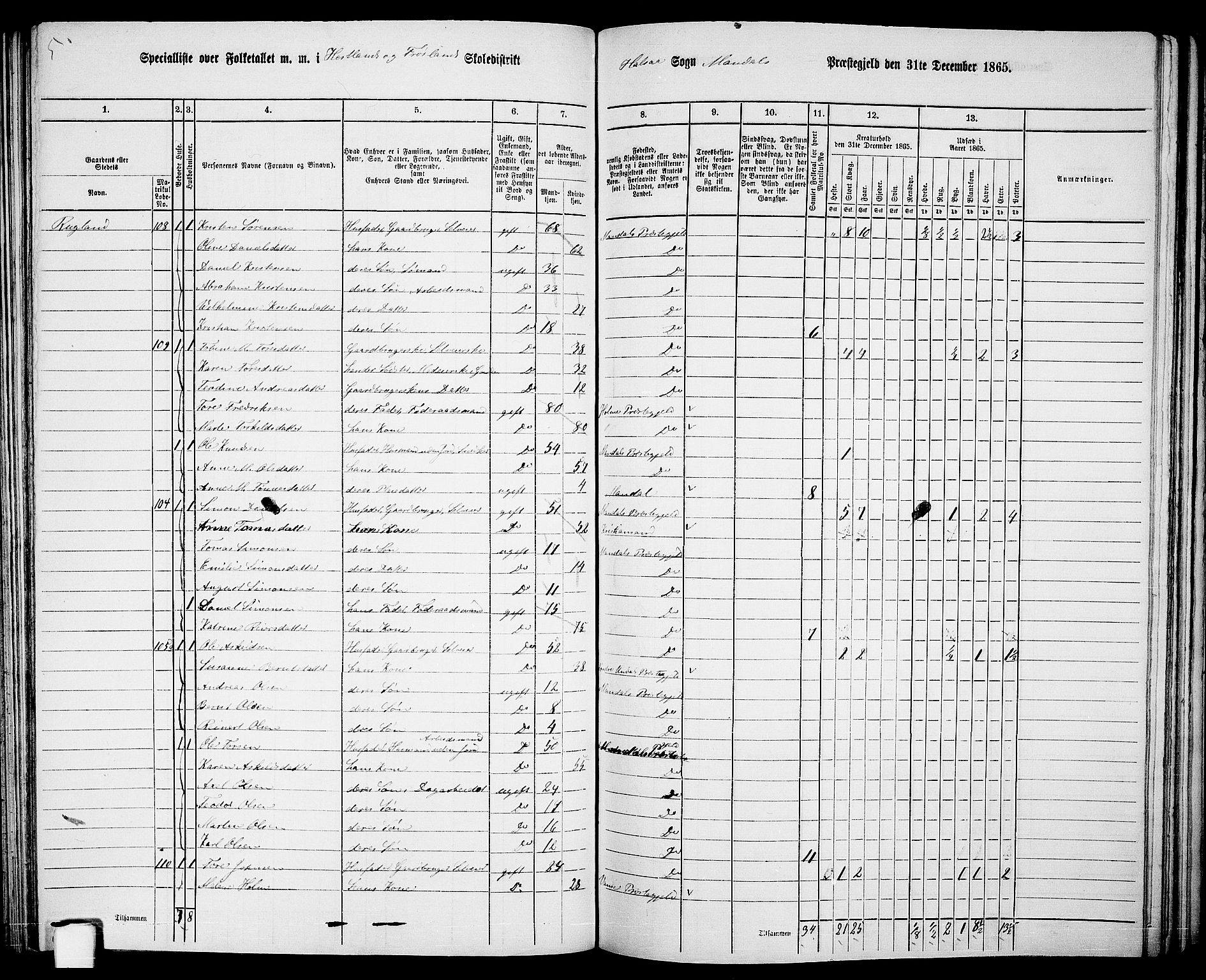 RA, 1865 census for Mandal/Halse og Harkmark, 1865, p. 80