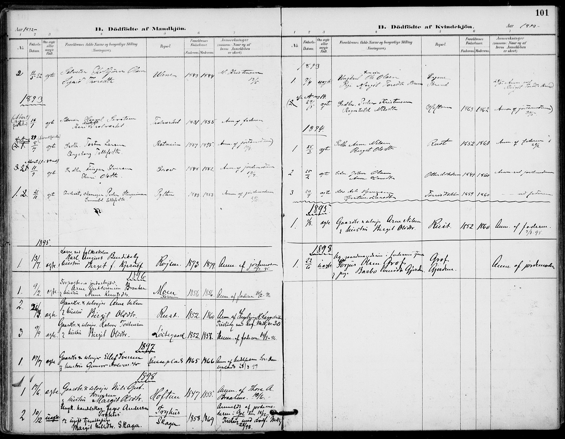 Gol kirkebøker, SAKO/A-226/F/Fa/L0005: Parish register (official) no. I 5, 1887-1900, p. 101