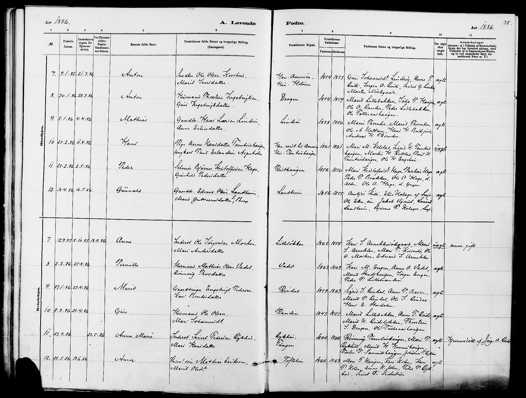 Dovre prestekontor, SAH/PREST-066/H/Ha/Haa/L0002: Parish register (official) no. 2, 1879-1890, p. 38