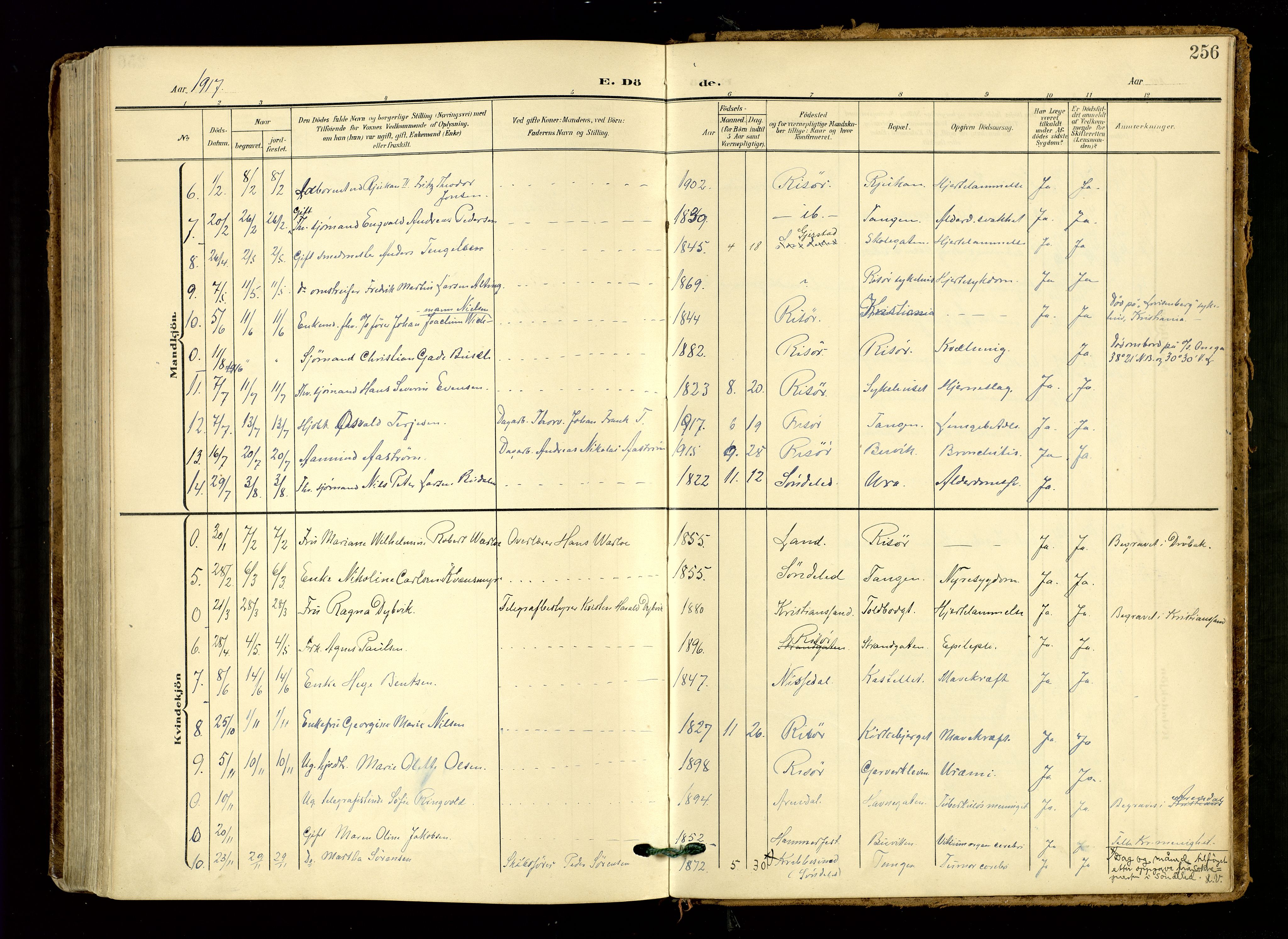 Risør sokneprestkontor, AV/SAK-1111-0035/F/Fa/L0011: Parish register (official) no. A 11, 1907-1920, p. 256