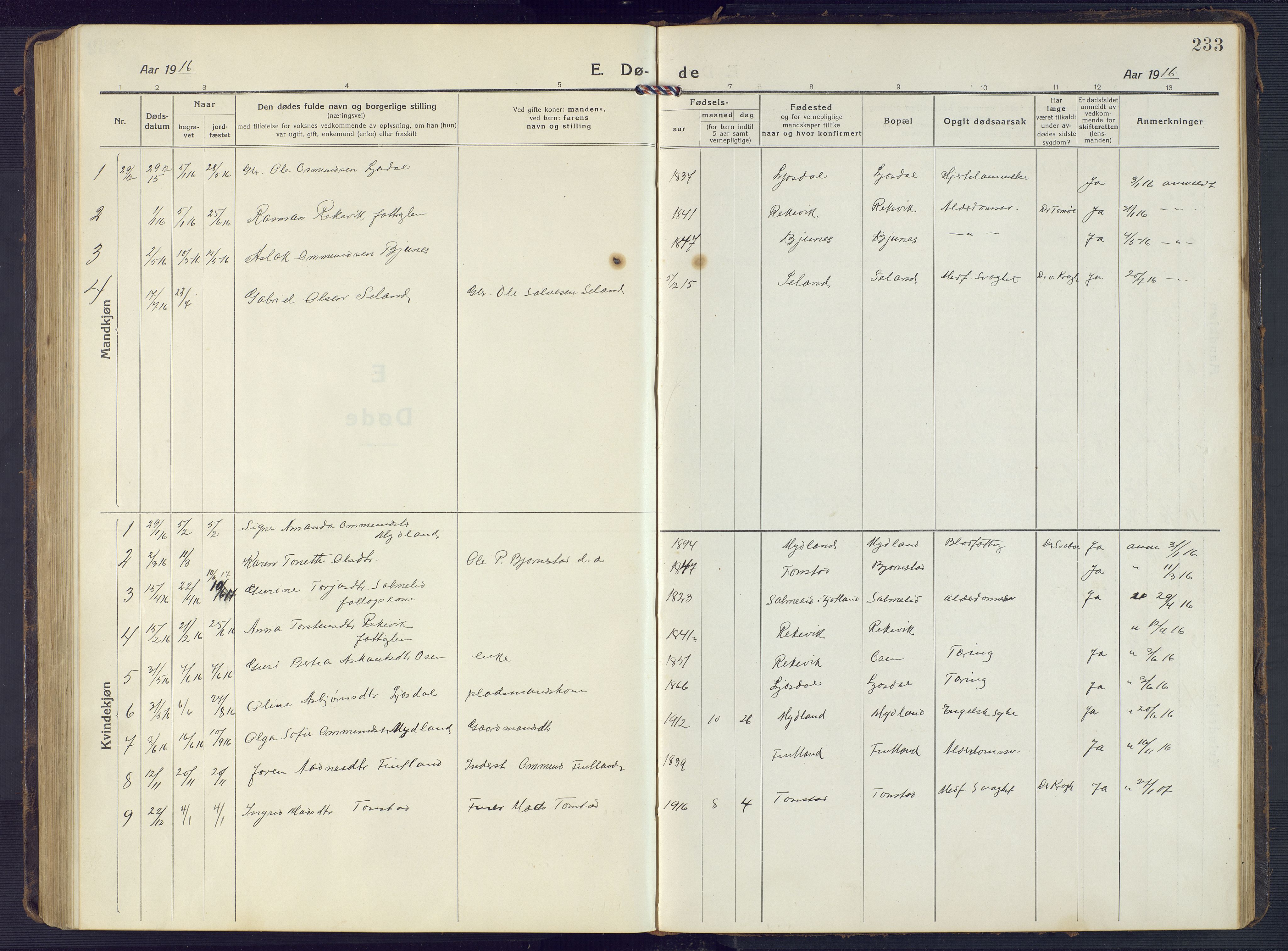 Sirdal sokneprestkontor, SAK/1111-0036/F/Fb/Fbb/L0005: Parish register (copy) no. B 5, 1916-1960, p. 233