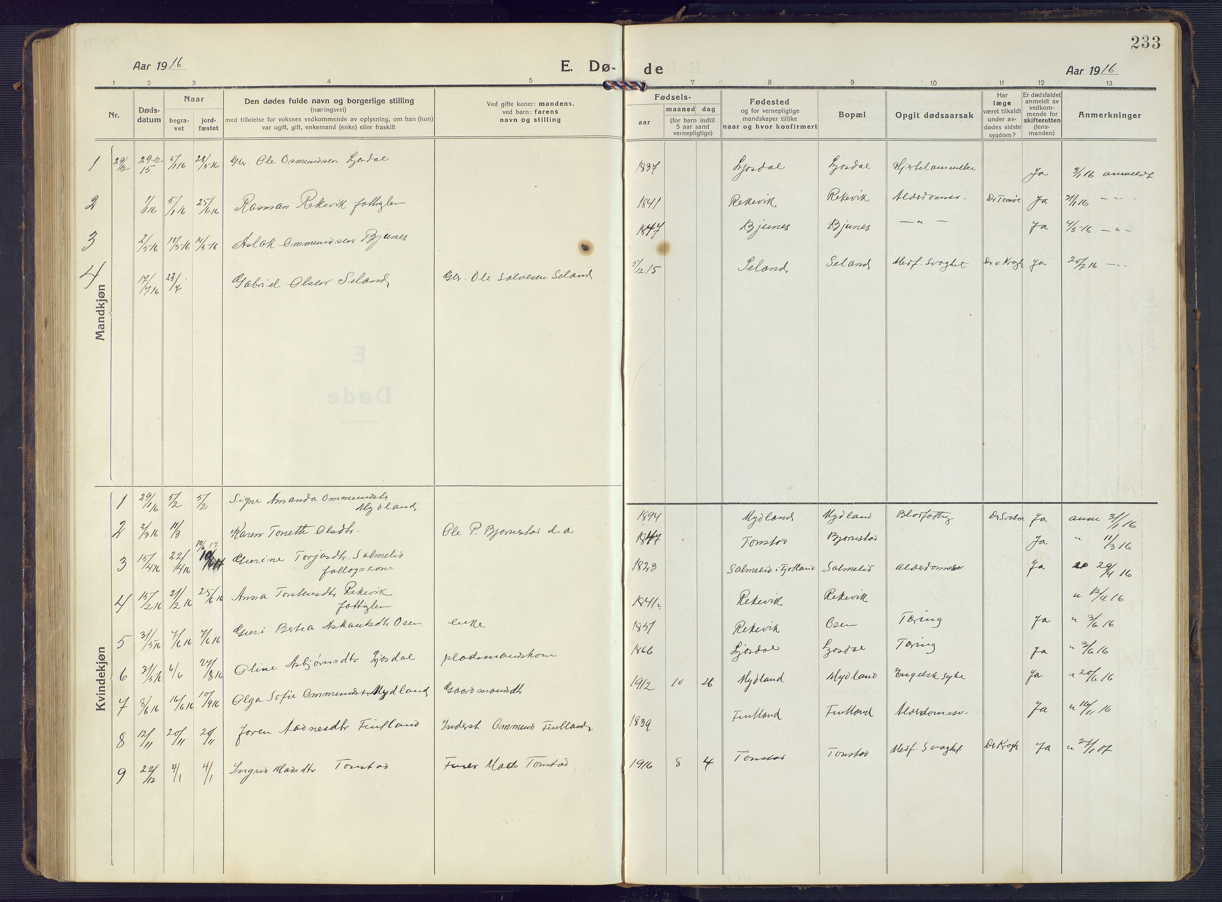 Sirdal sokneprestkontor, AV/SAK-1111-0036/F/Fb/Fbb/L0005: Parish register (copy) no. B 5, 1916-1960, p. 233