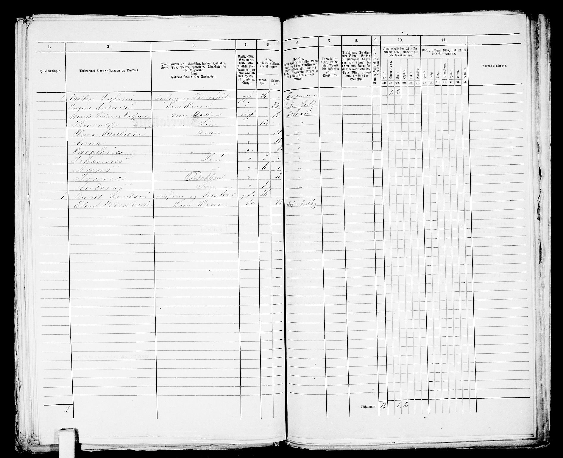 RA, 1865 census for Botne/Holmestrand, 1865, p. 368