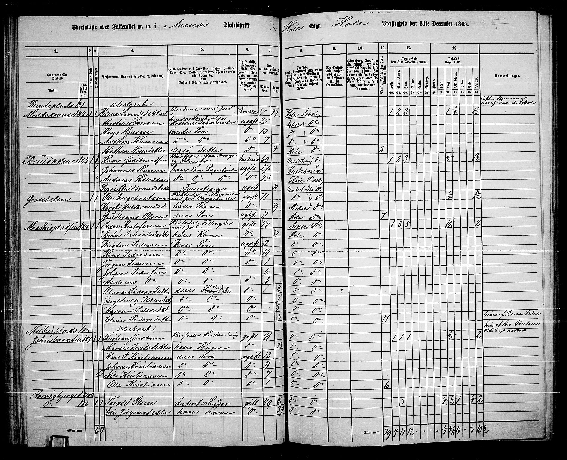 RA, 1865 census for Hole, 1865, p. 67