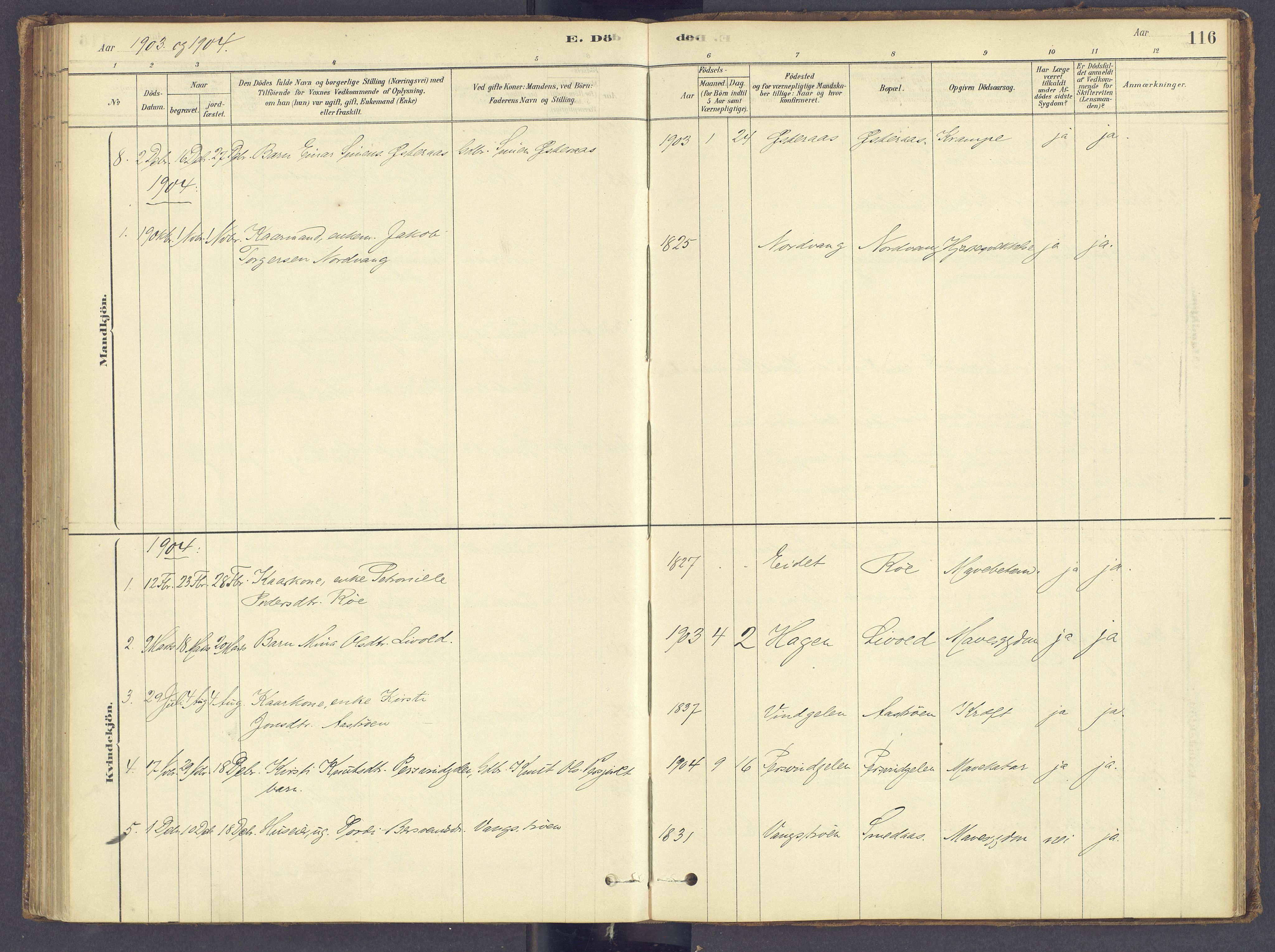 Tolga prestekontor, AV/SAH-PREST-062/K/L0012: Parish register (official) no. 12, 1877-1925, p. 116