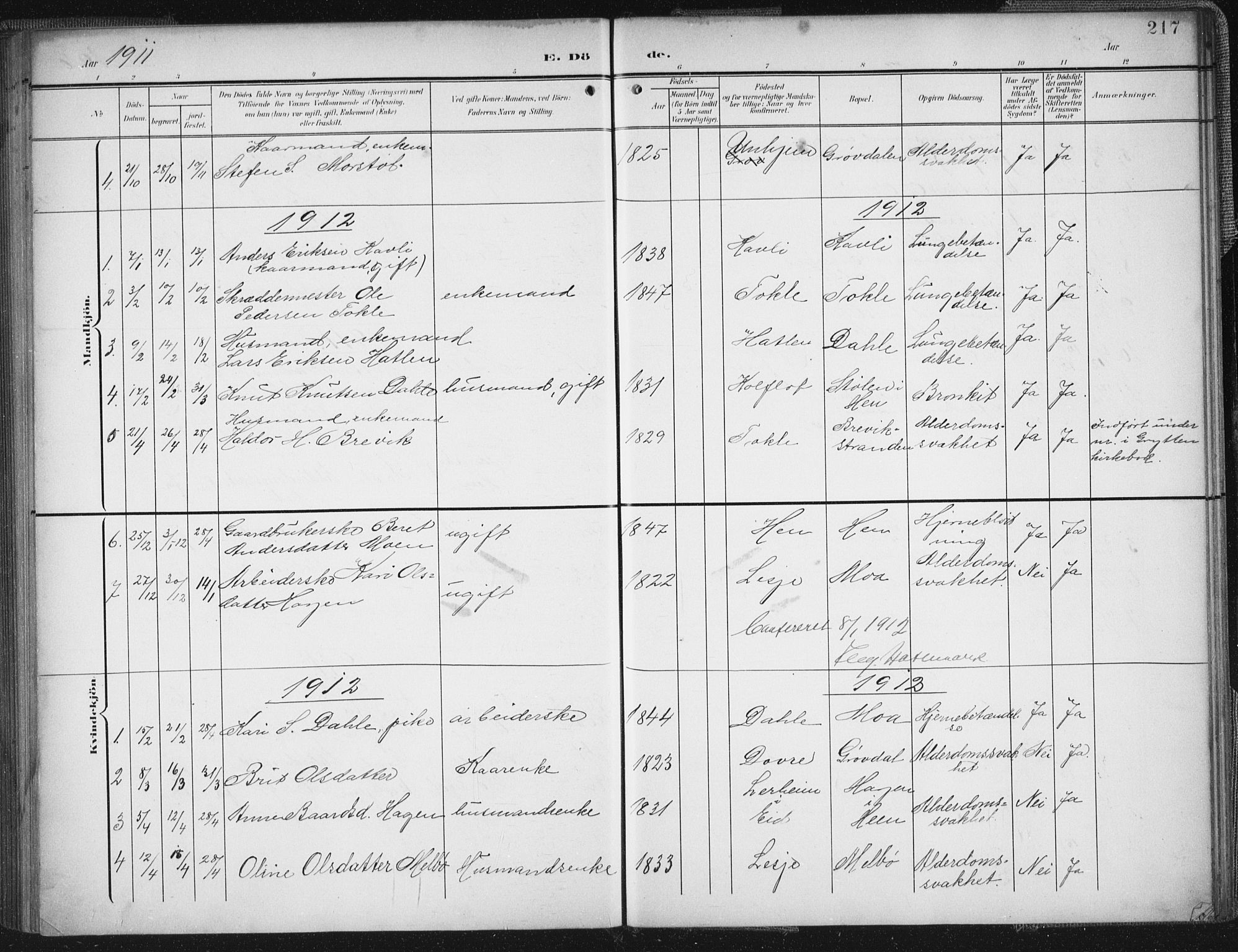 Ministerialprotokoller, klokkerbøker og fødselsregistre - Møre og Romsdal, SAT/A-1454/545/L0589: Parish register (copy) no. 545C03, 1902-1937, p. 217