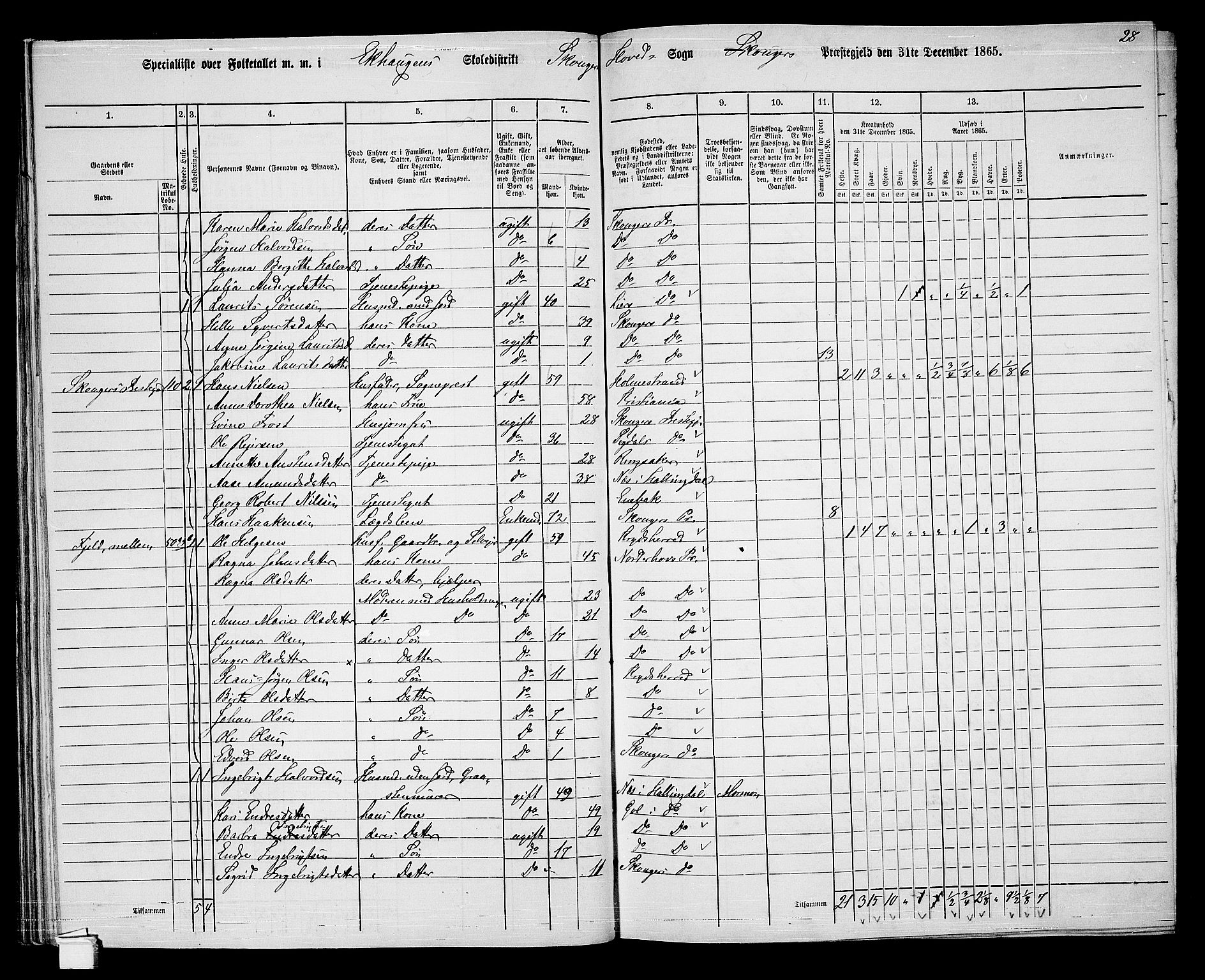 RA, 1865 census for Skoger, 1865, p. 70