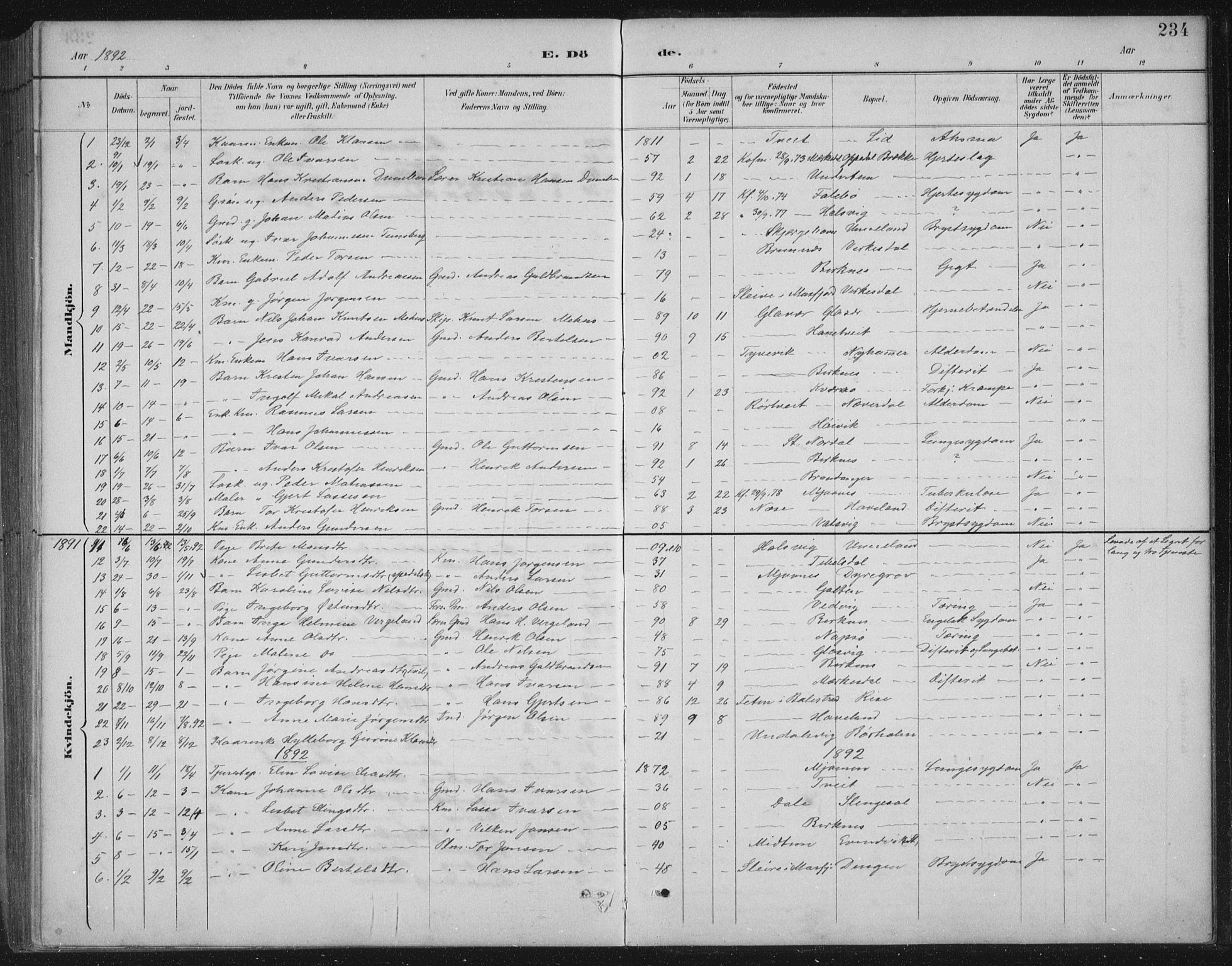 Gulen sokneprestembete, SAB/A-80201/H/Hab/Habb/L0003: Parish register (copy) no. B 3, 1884-1907, p. 234