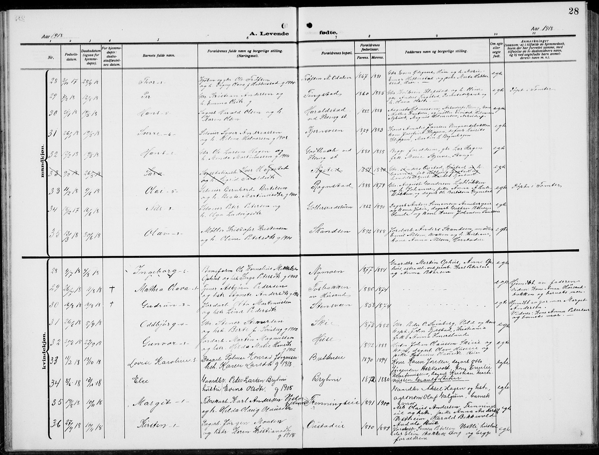 Romedal prestekontor, AV/SAH-PREST-004/L/L0014: Parish register (copy) no. 14, 1915-1939, p. 28