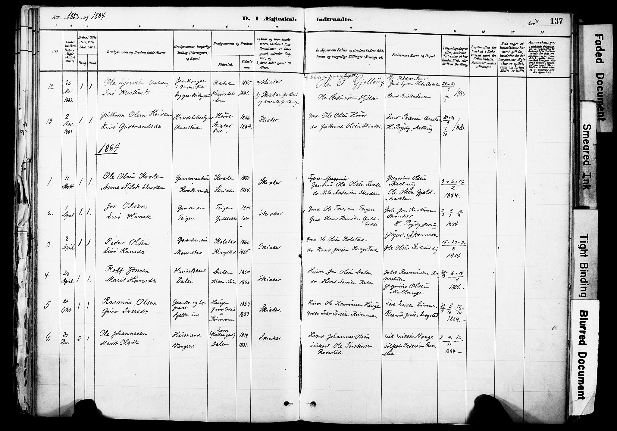 Skjåk prestekontor, SAH/PREST-072/H/Ha/Haa/L0003: Parish register (official) no. 3, 1880-1907, p. 137