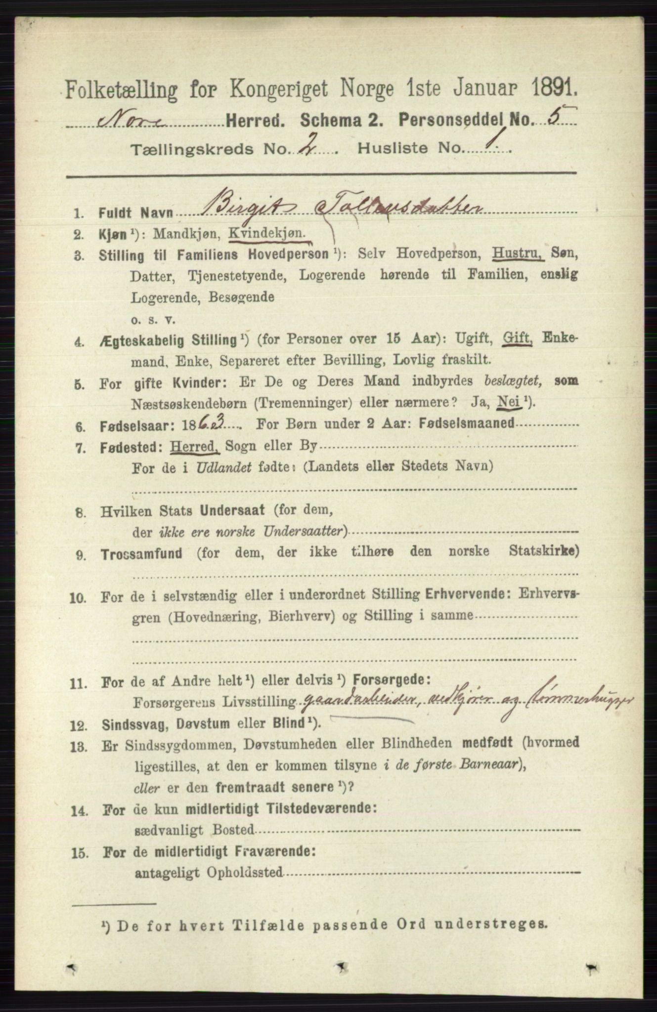 RA, 1891 census for 0633 Nore, 1891, p. 255