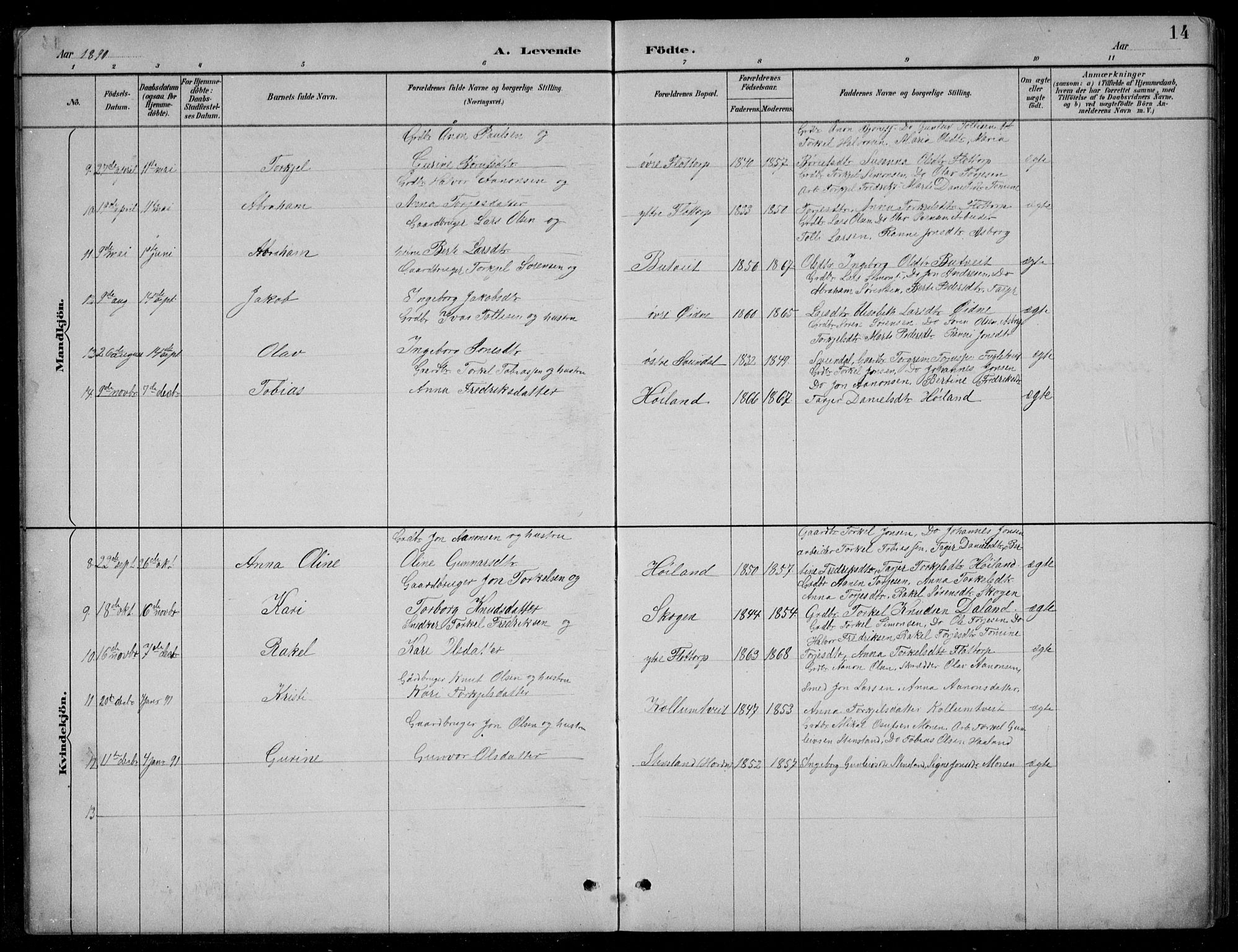 Bjelland sokneprestkontor, AV/SAK-1111-0005/F/Fb/Fbc/L0003: Parish register (copy) no. B 3, 1887-1924, p. 14