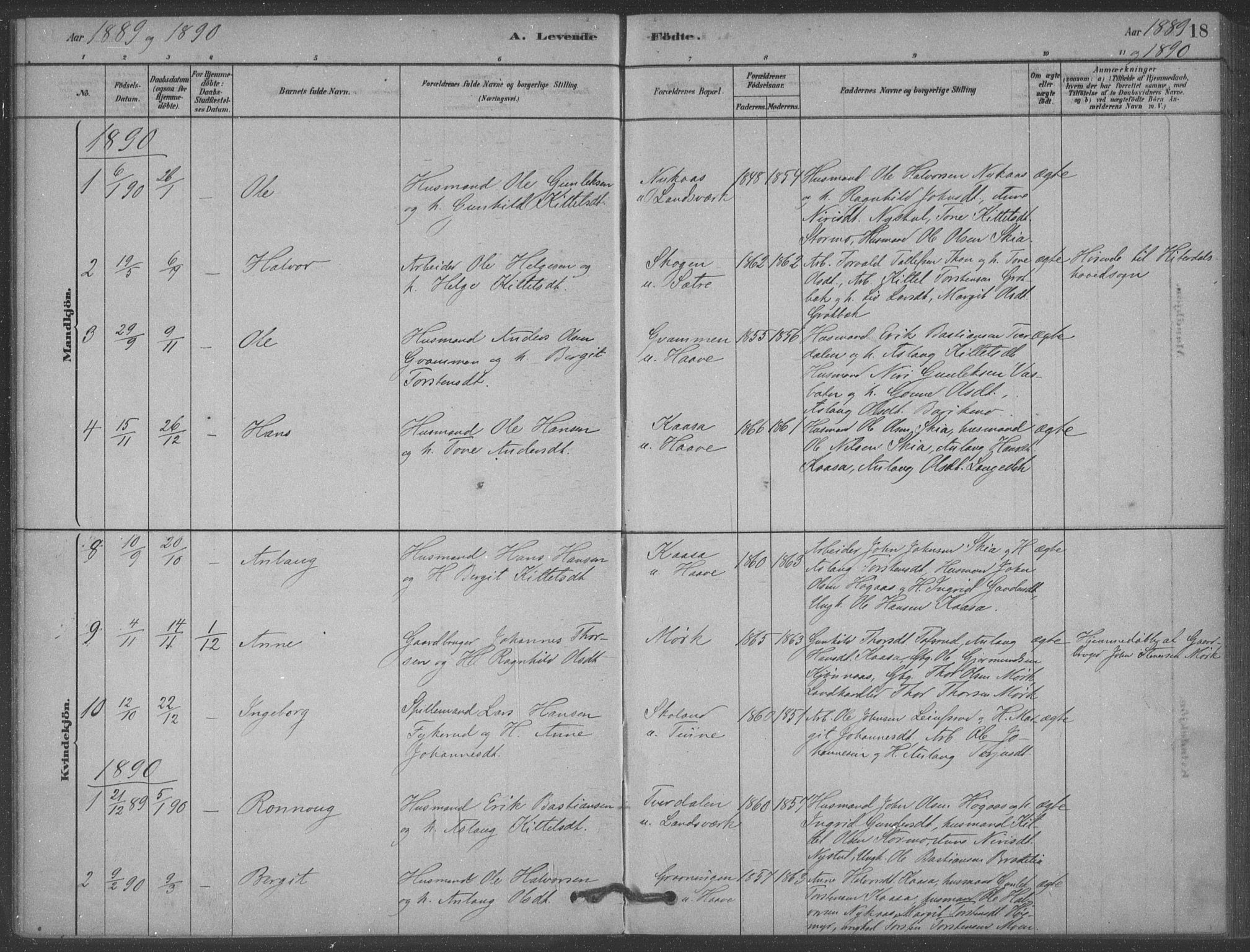 Heddal kirkebøker, SAKO/A-268/F/Fb/L0002: Parish register (official) no. II 2, 1878-1913, p. 18