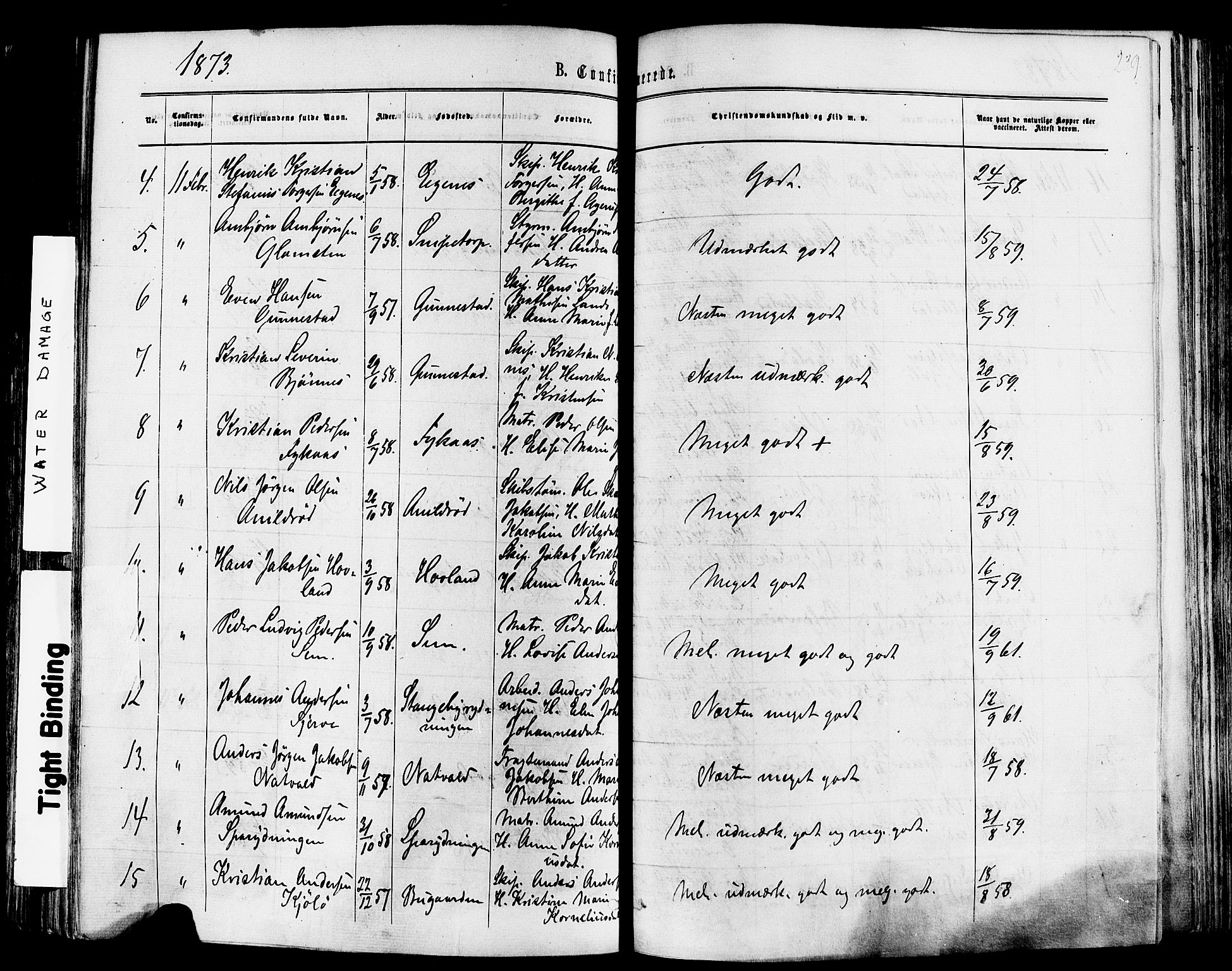 Nøtterøy kirkebøker, SAKO/A-354/F/Fa/L0007: Parish register (official) no. I 7, 1865-1877, p. 239