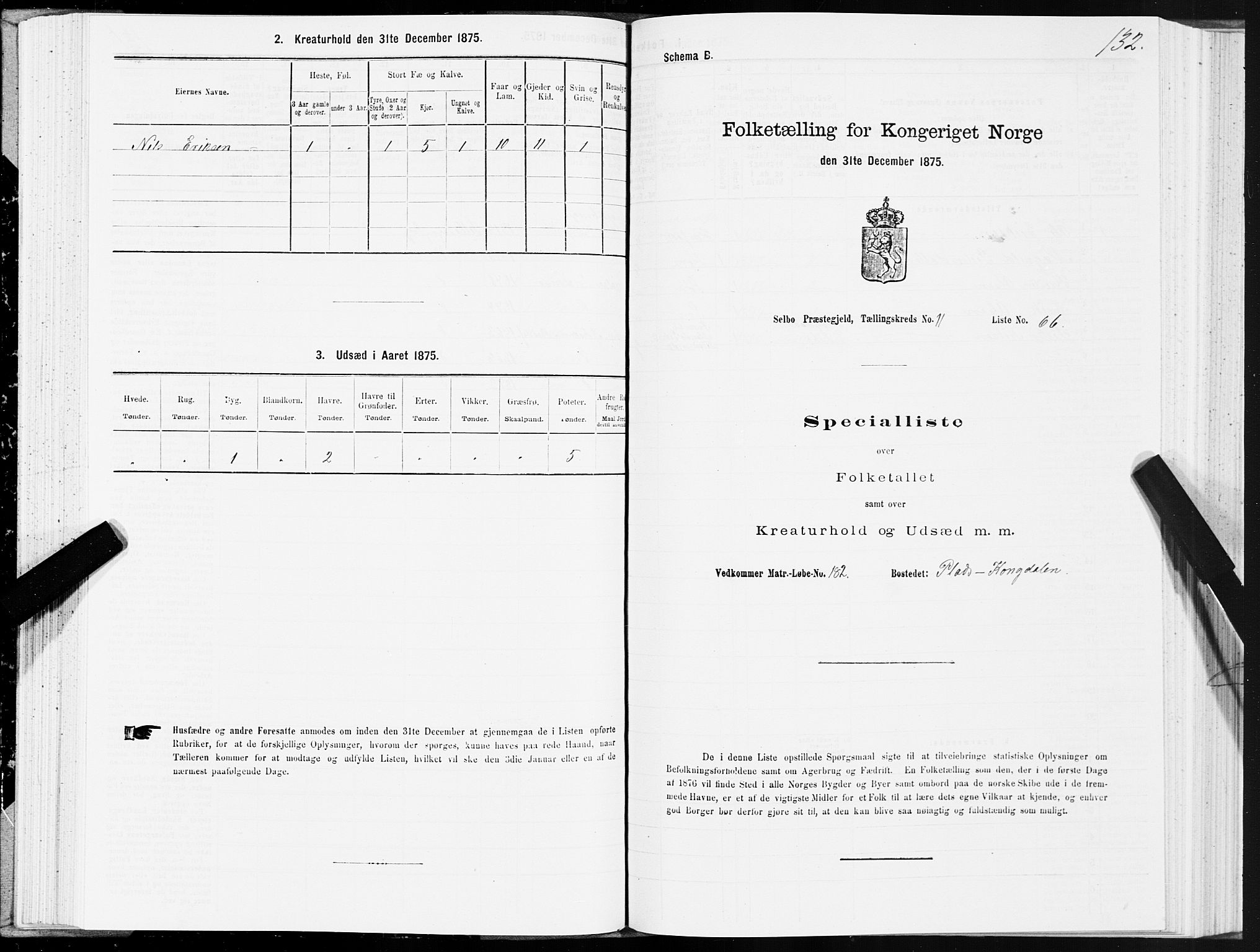 SAT, 1875 census for 1664P Selbu, 1875, p. 6132