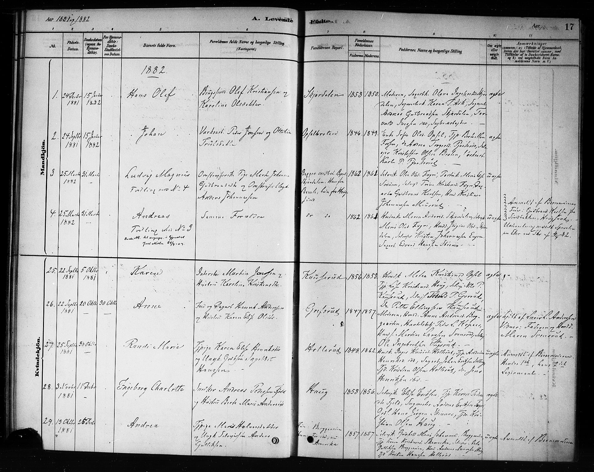 Hole kirkebøker, SAKO/A-228/F/Fb/L0001: Parish register (official) no. II 1, 1878-1891, p. 17