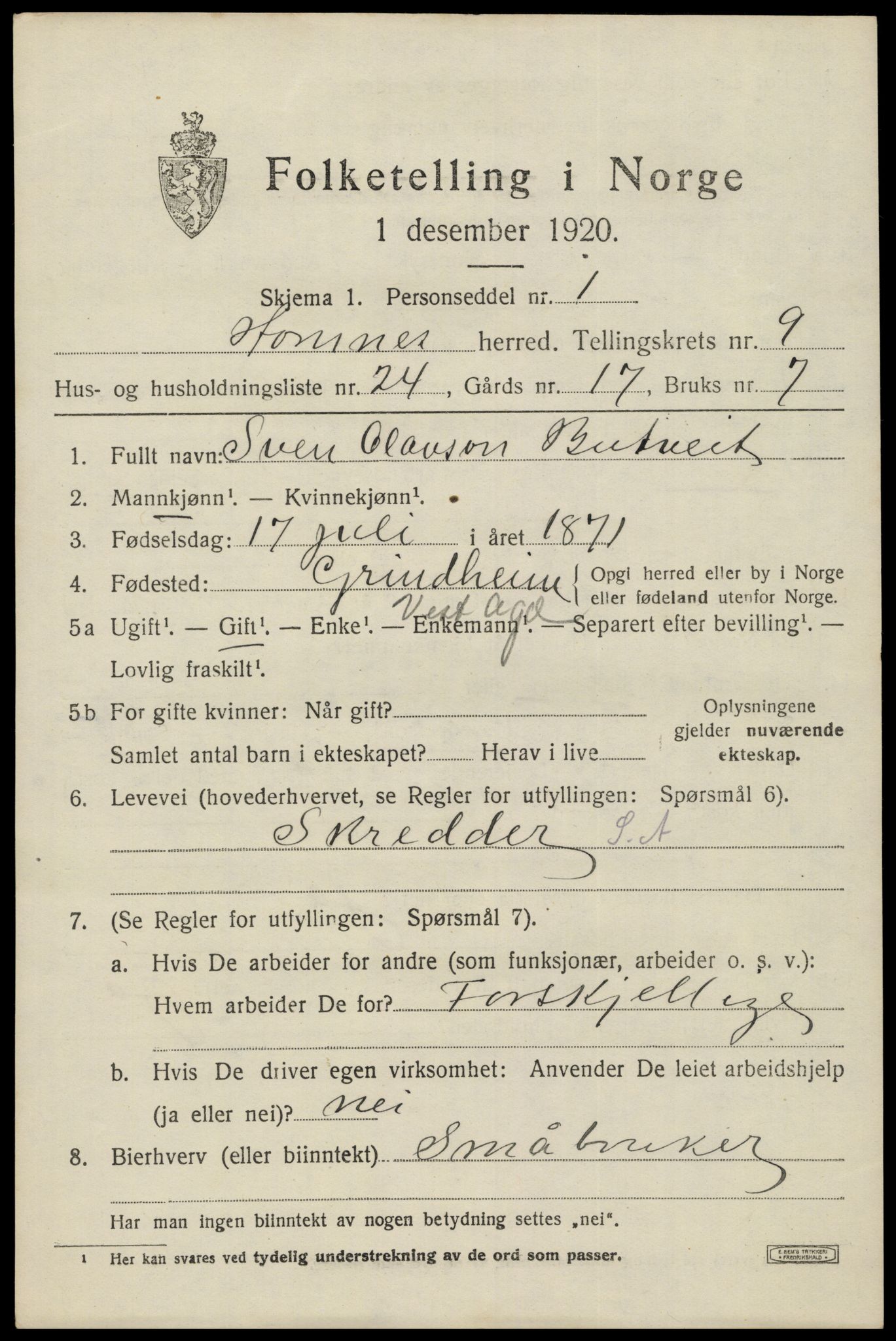 SAK, 1920 census for Hornnes, 1920, p. 2485