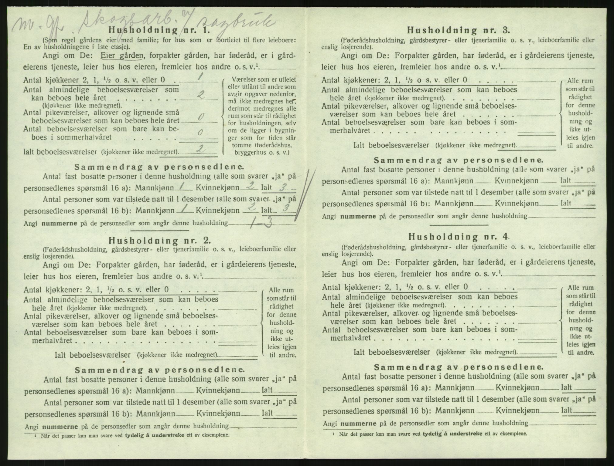 SAKO, 1920 census for Hedrum, 1920, p. 1244