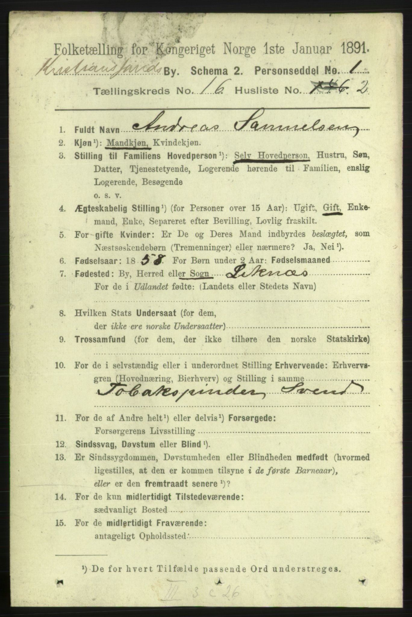 RA, 1891 census for 1001 Kristiansand, 1891, p. 6411