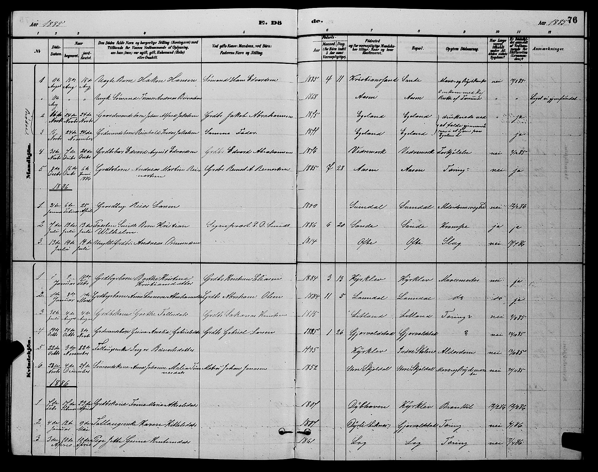 Herad sokneprestkontor, AV/SAK-1111-0018/F/Fb/Fba/L0004: Parish register (copy) no. B 4, 1882-1899, p. 76