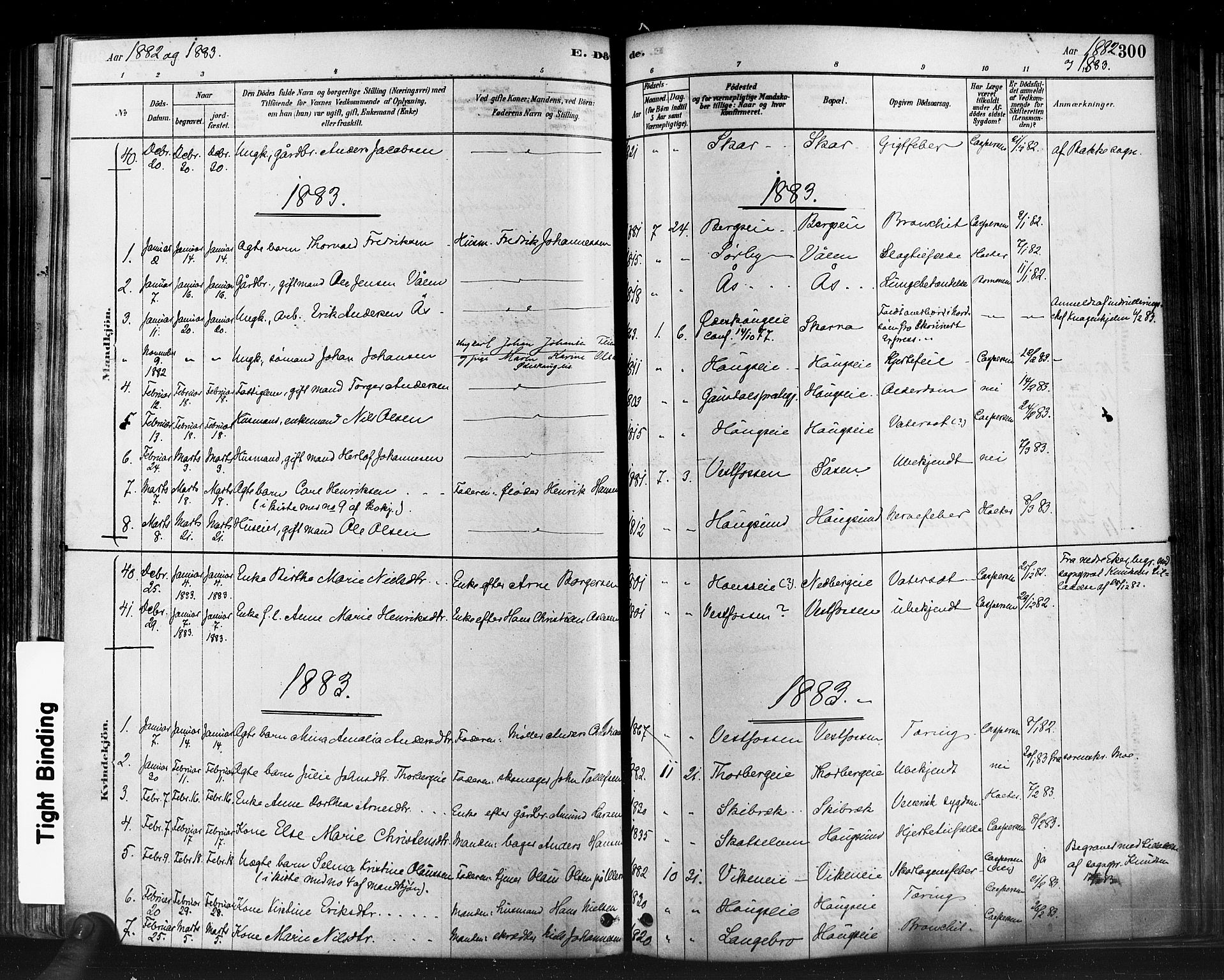 Eiker kirkebøker, SAKO/A-4/F/Fb/L0001: Parish register (official) no. II 1, 1878-1888, p. 300