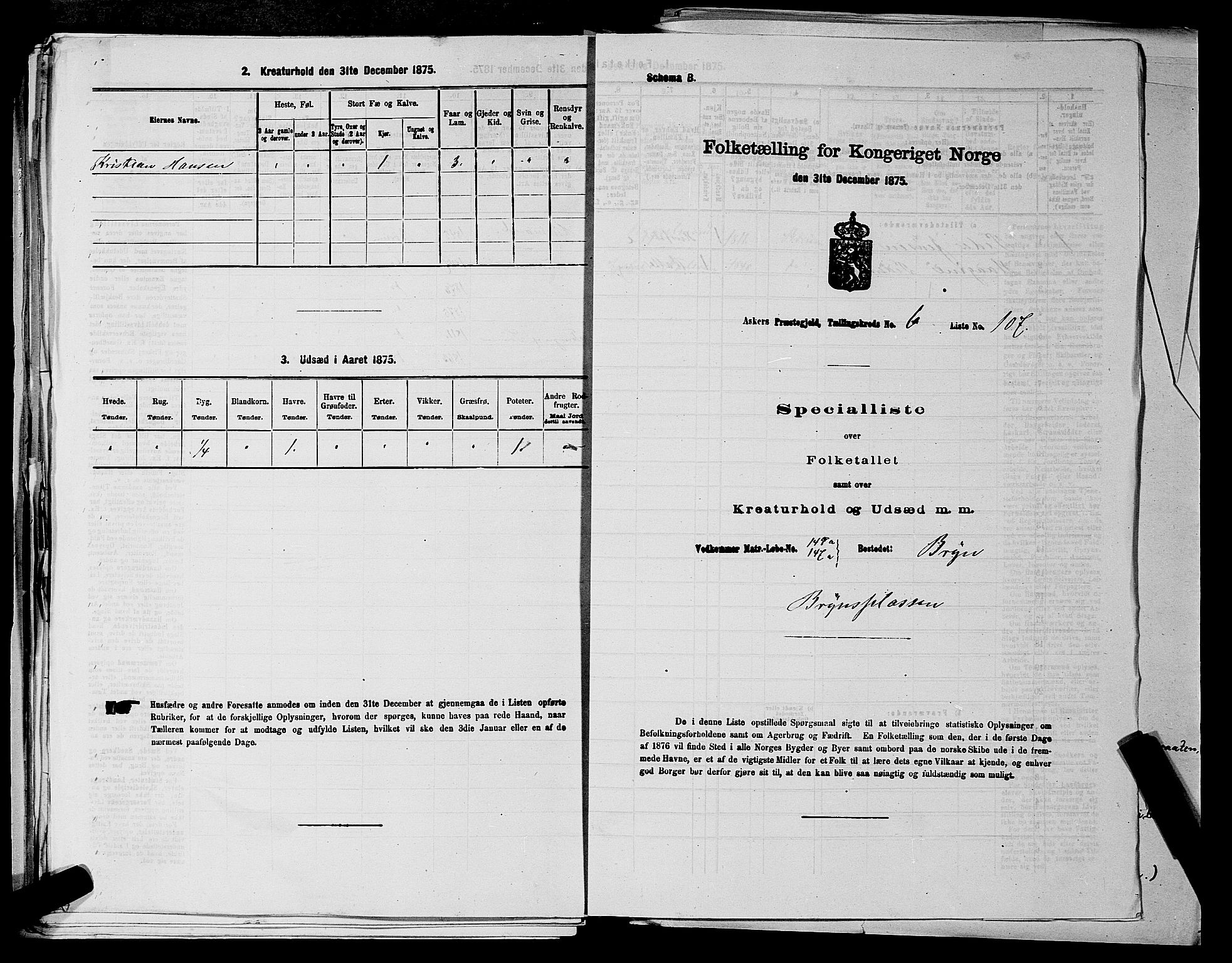 RA, 1875 census for 0220P Asker, 1875, p. 1381