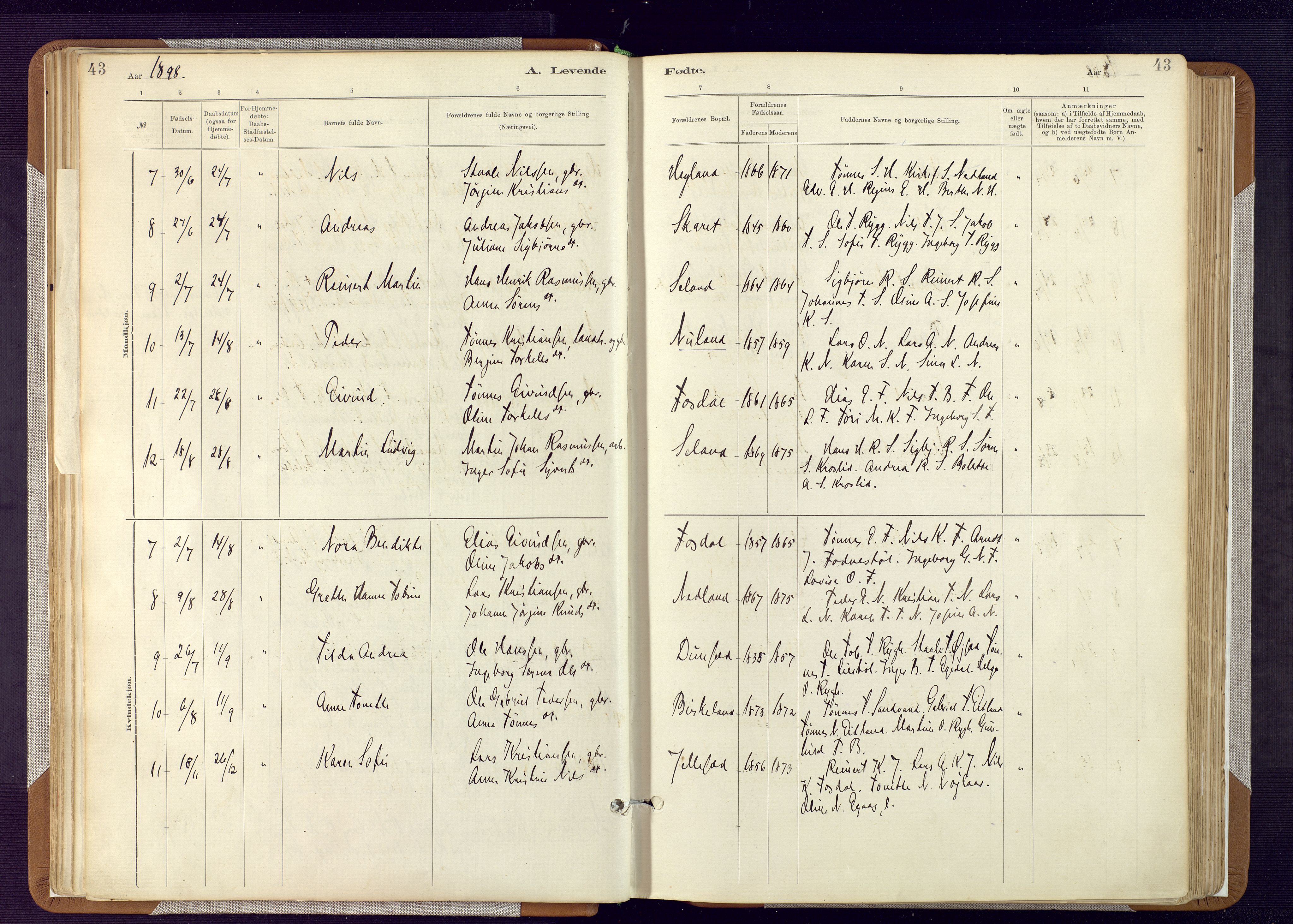 Bakke sokneprestkontor, AV/SAK-1111-0002/F/Fa/Fab/L0003: Parish register (official) no. A 3, 1884-1921, p. 43