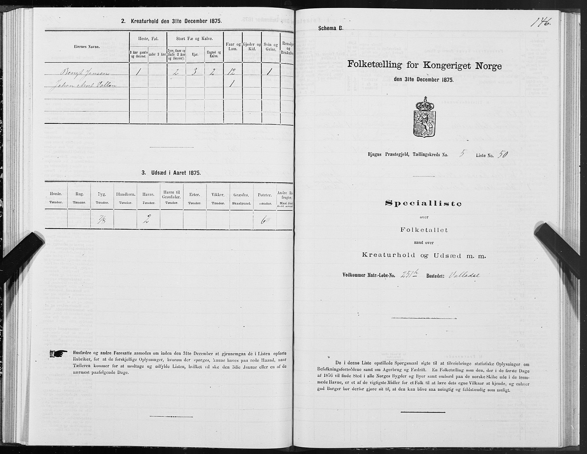 SAT, 1875 census for 1627P Bjugn, 1875, p. 3146